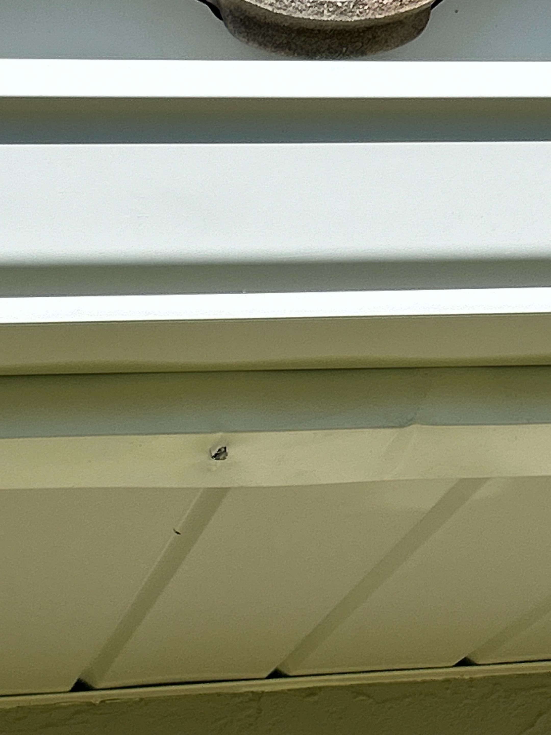 Fascia and Soffit Repair with New Gutters  by Gutter Professors