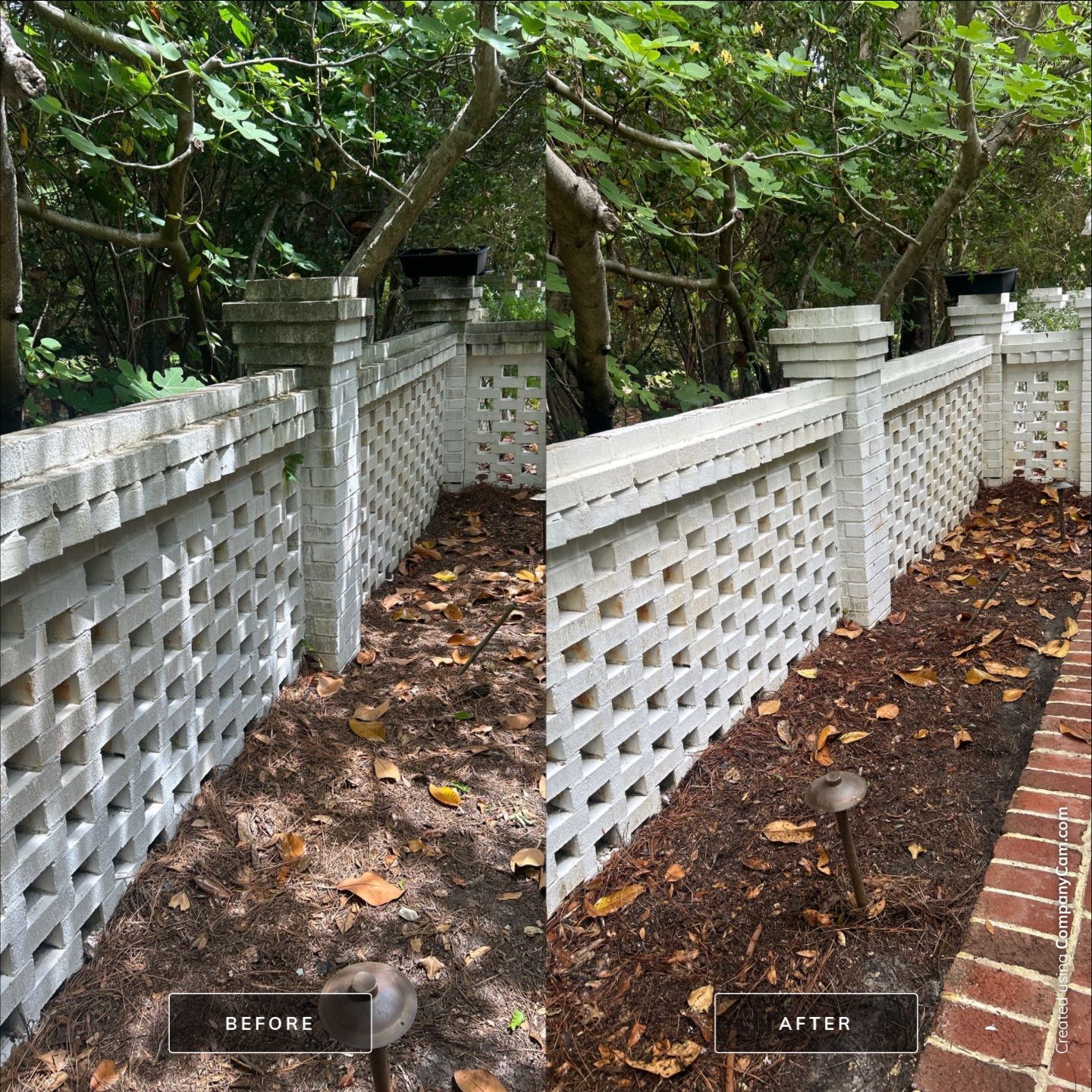 House Washing in Wilmington by Shark Power Washing