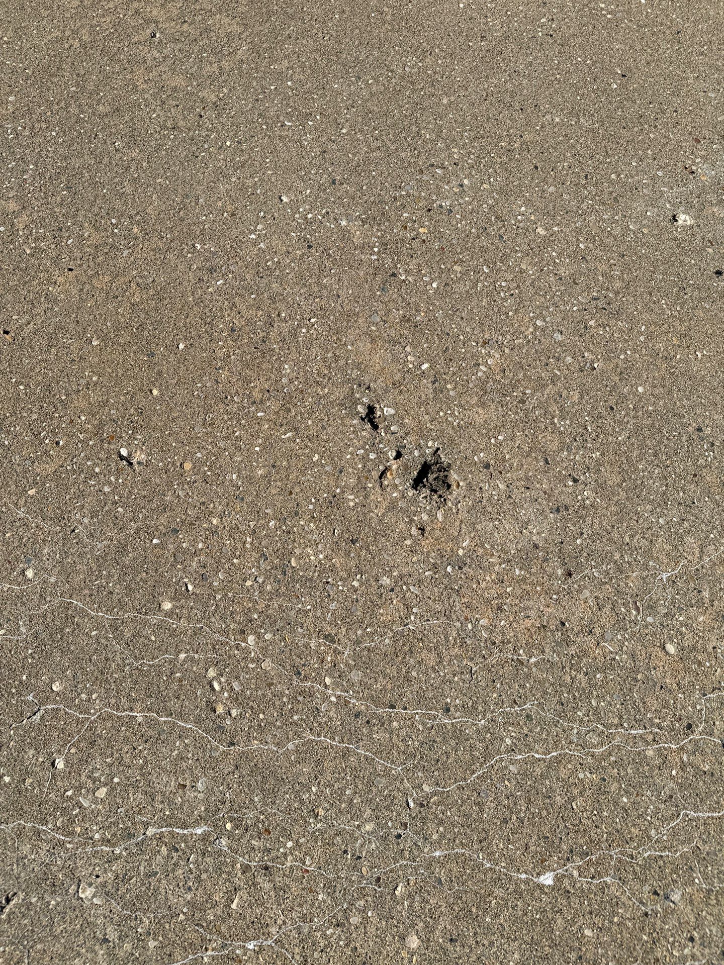 Twilight Driveway Project in Bridgeville by Floors in a Day, Inc