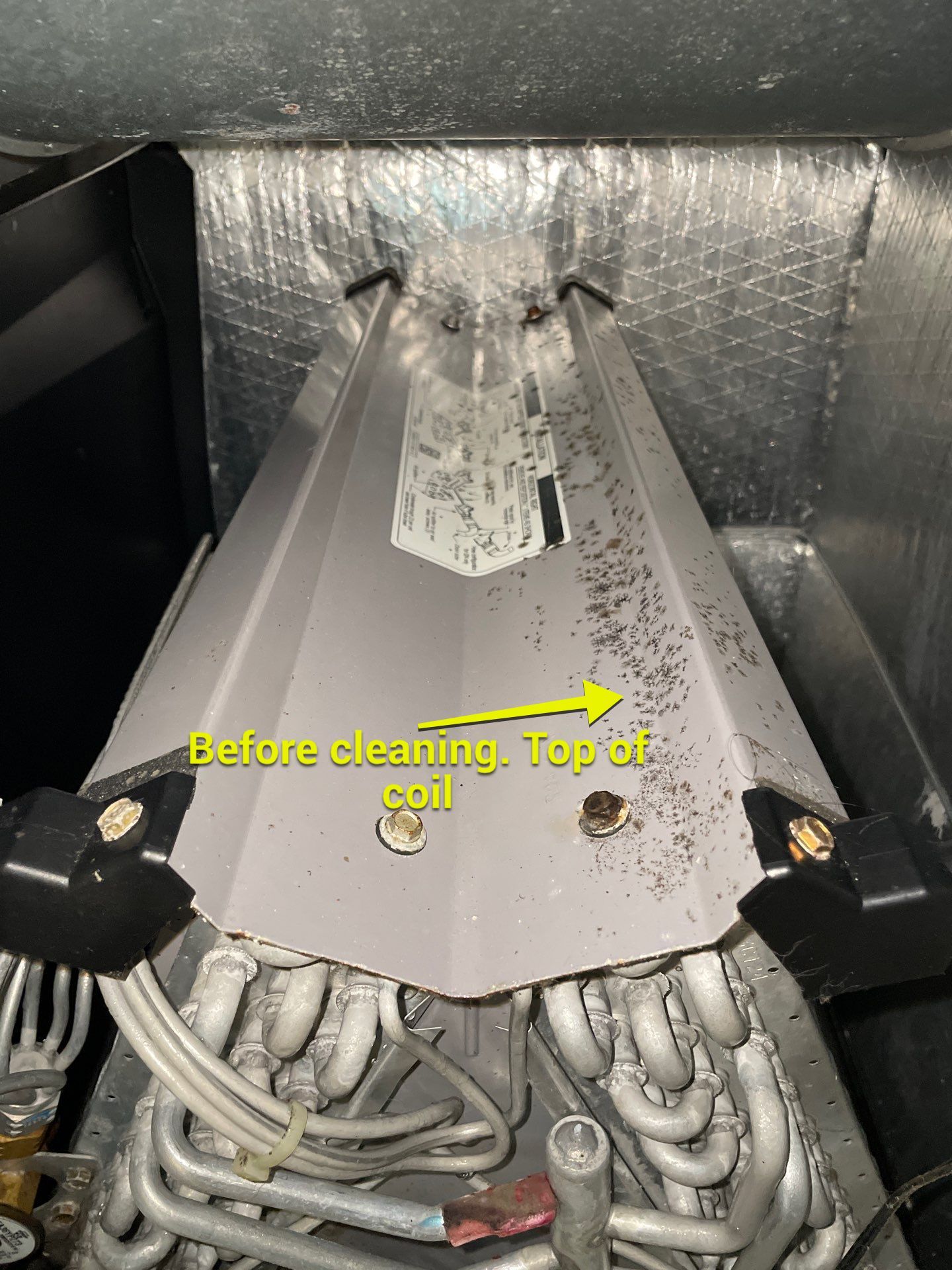 Air Duct Cleaning in Clermont by Hygienic Air, Inc