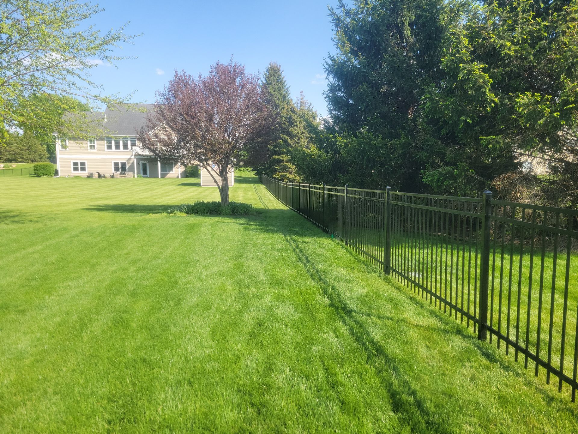 Black Ornamental Metal Picket Fence Installation in Waterloo by Perfect Picket Fence and Stain
