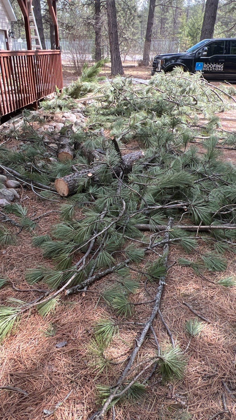 Green Snap Lock Standing Seam  by Montana Roofing Solutions