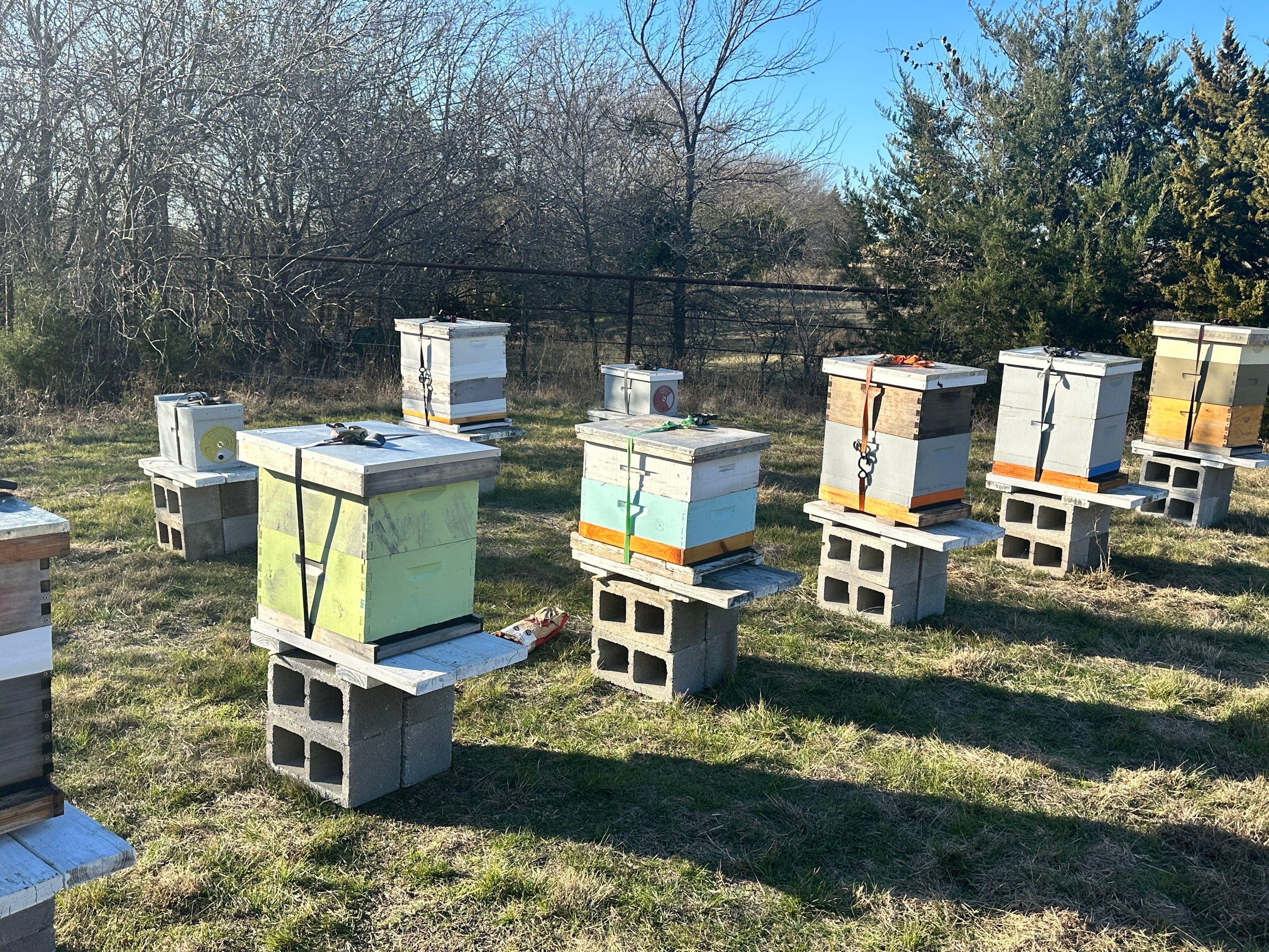 Bees for Ag. Exemption in Heath by Rockwall Honey Bee Company