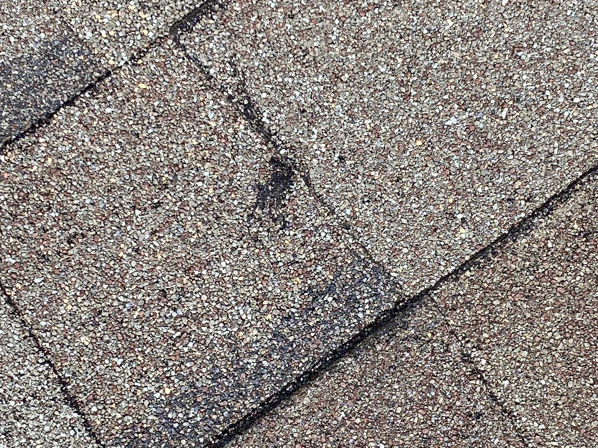 Project in San Marcos by Rhino Roofing and General Contracting, LLC