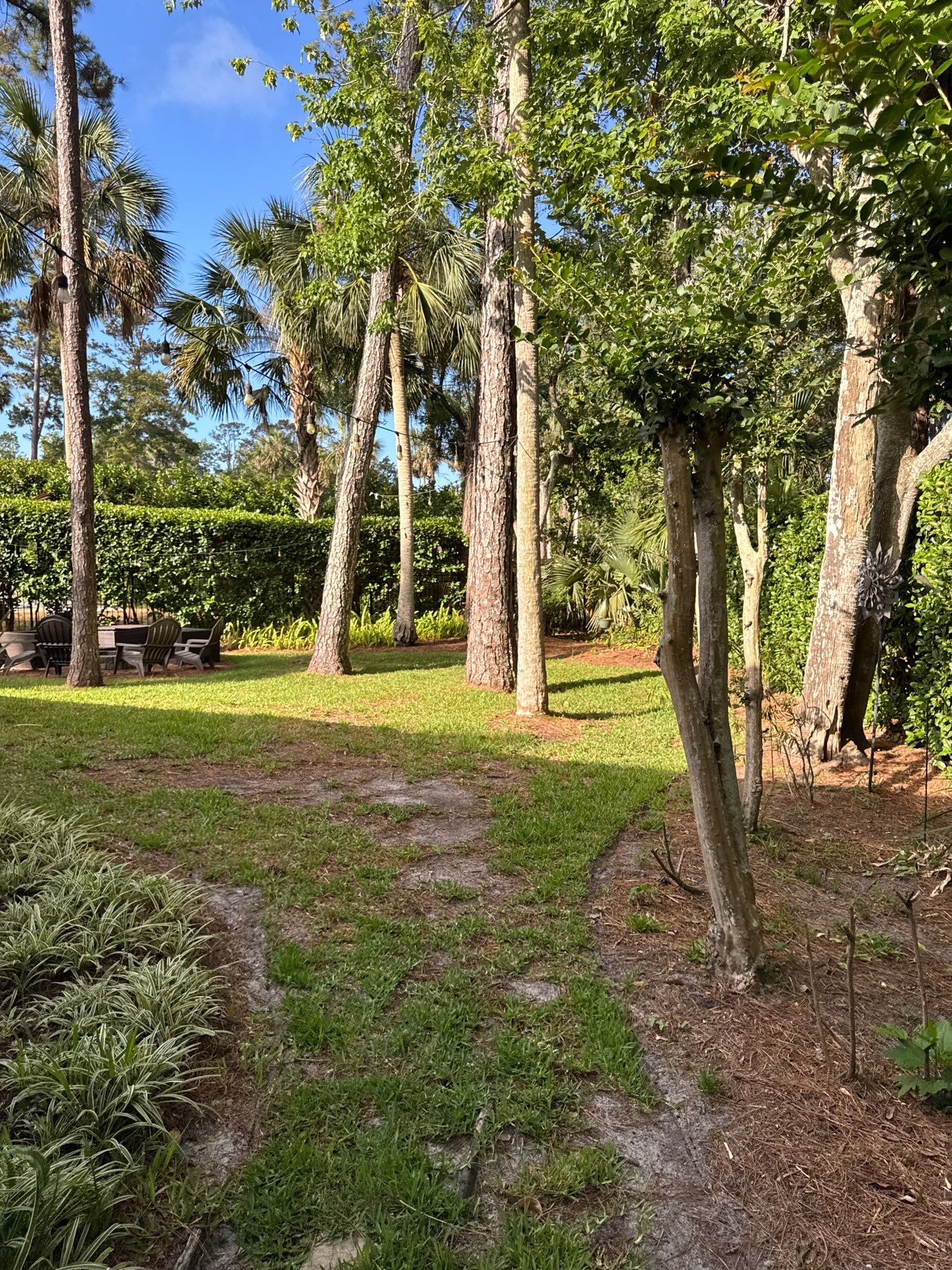 Residential | Pine Straw Install by ProGreen Services