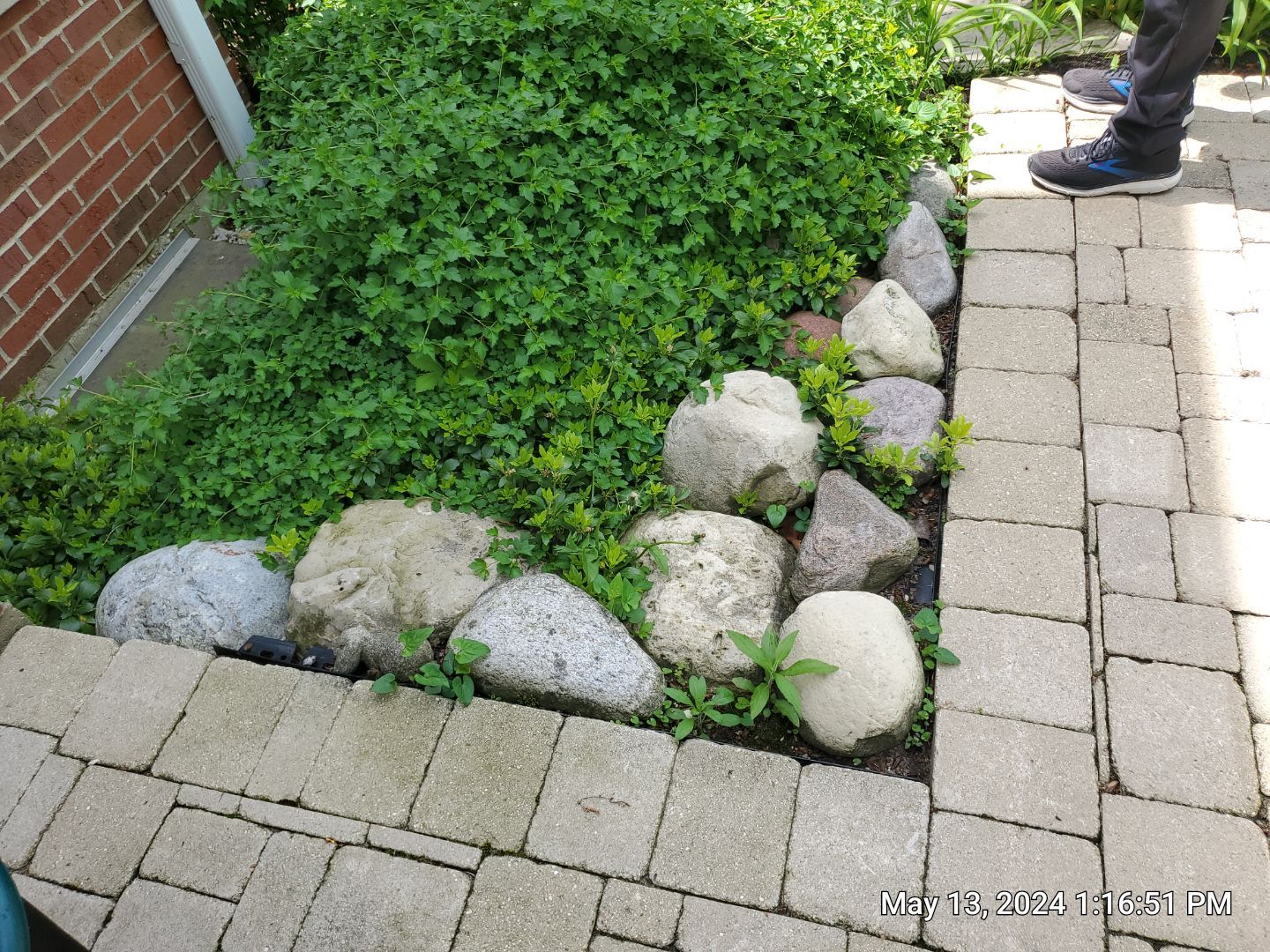 Brick paver clean, sand and seal.  using Surebond SB-1300 by Northern Power Washing LLC.