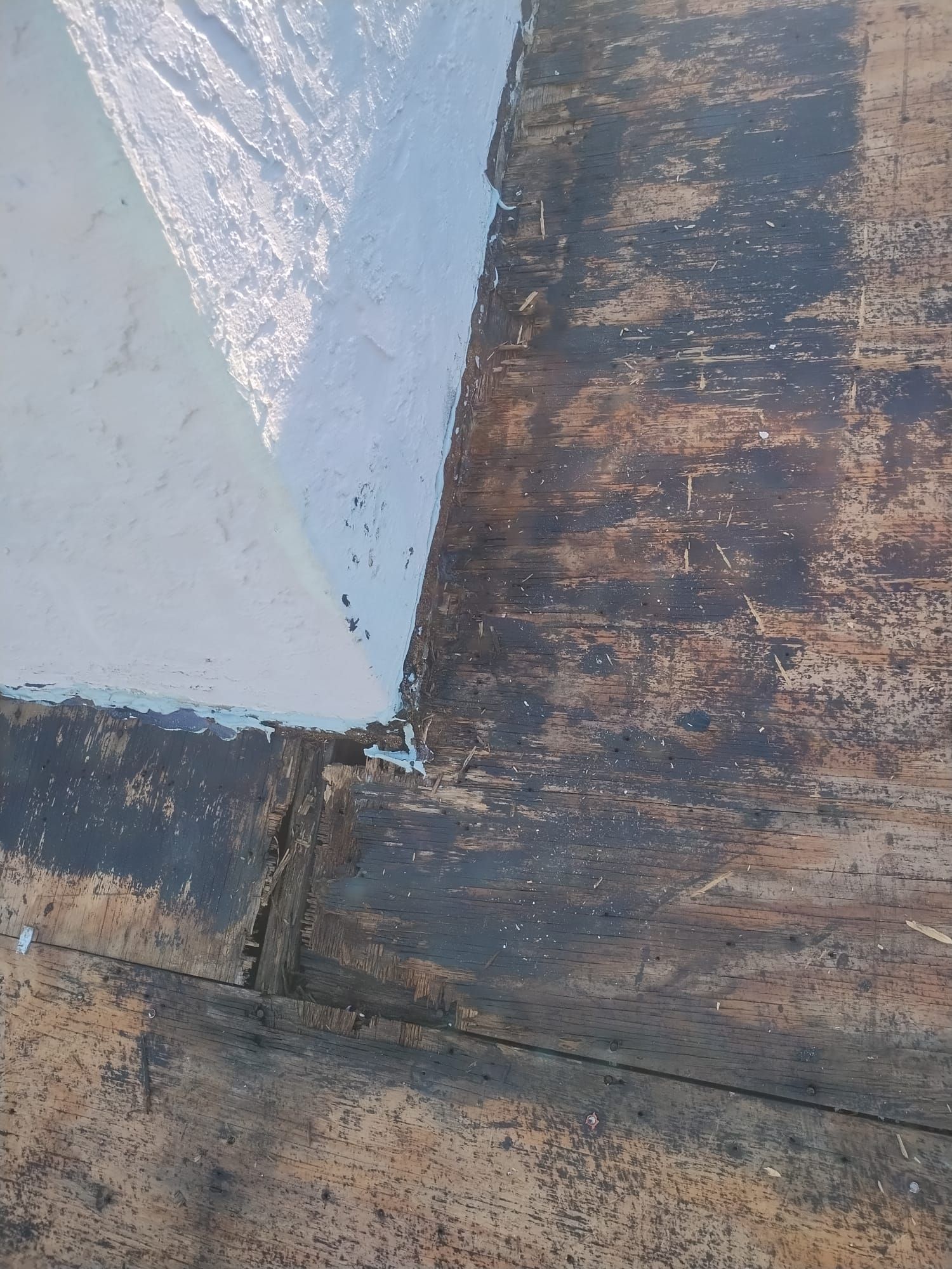 Project in Clearwater 33761 by Mitchell Roofing Company LLC