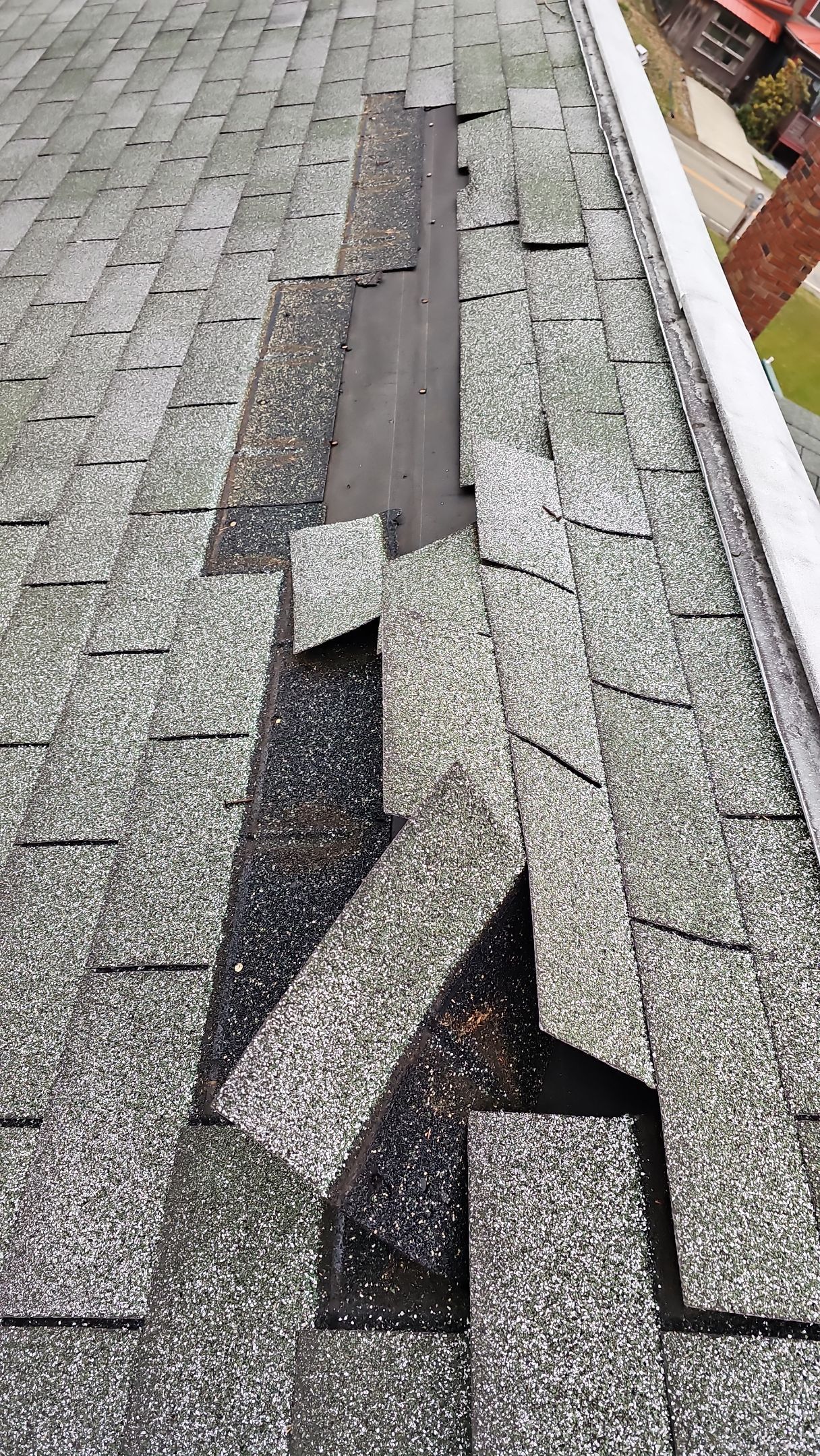 ATLAS PINNACLE COLOR: COASTAL GRANITE DRIP EDGE: BLACK by Eagle Eye Roofing