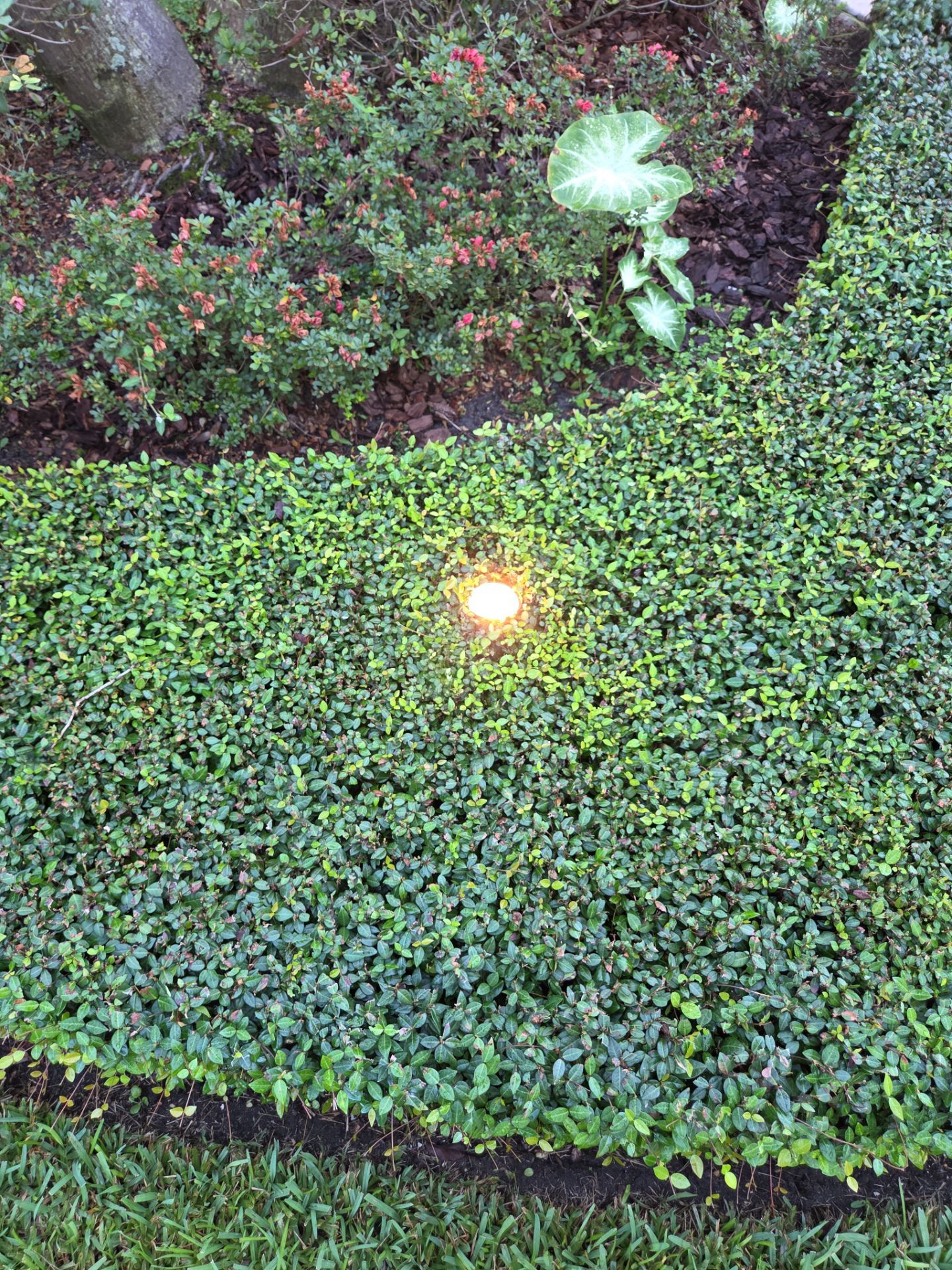 Electrical Upgrades in Orlando by Smartron Electric