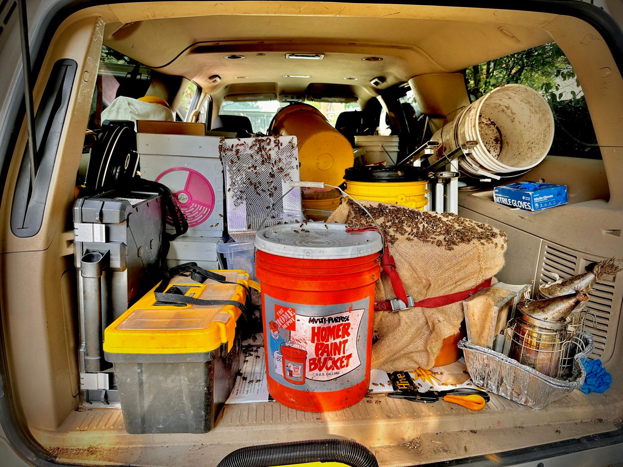 Pot-in-a-Pot by Rockwall Honey Bee Company