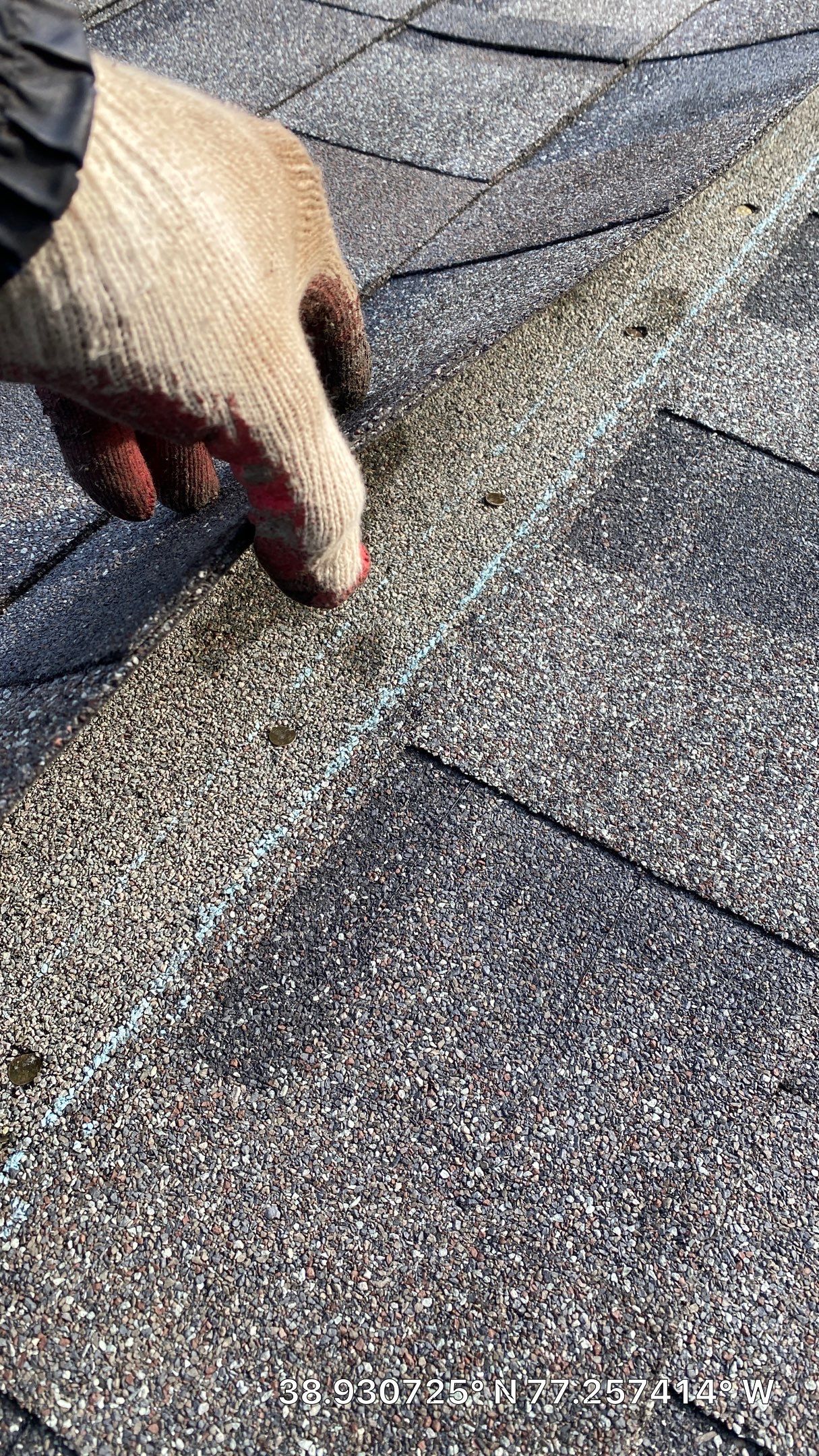 Vienna: Certainteed Landmark Pro Designer Shingles in Max Def Driftwood by RM Banning, Inc.