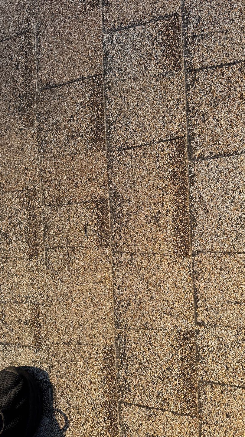 Project in Galt  by NuLead Construction Inc