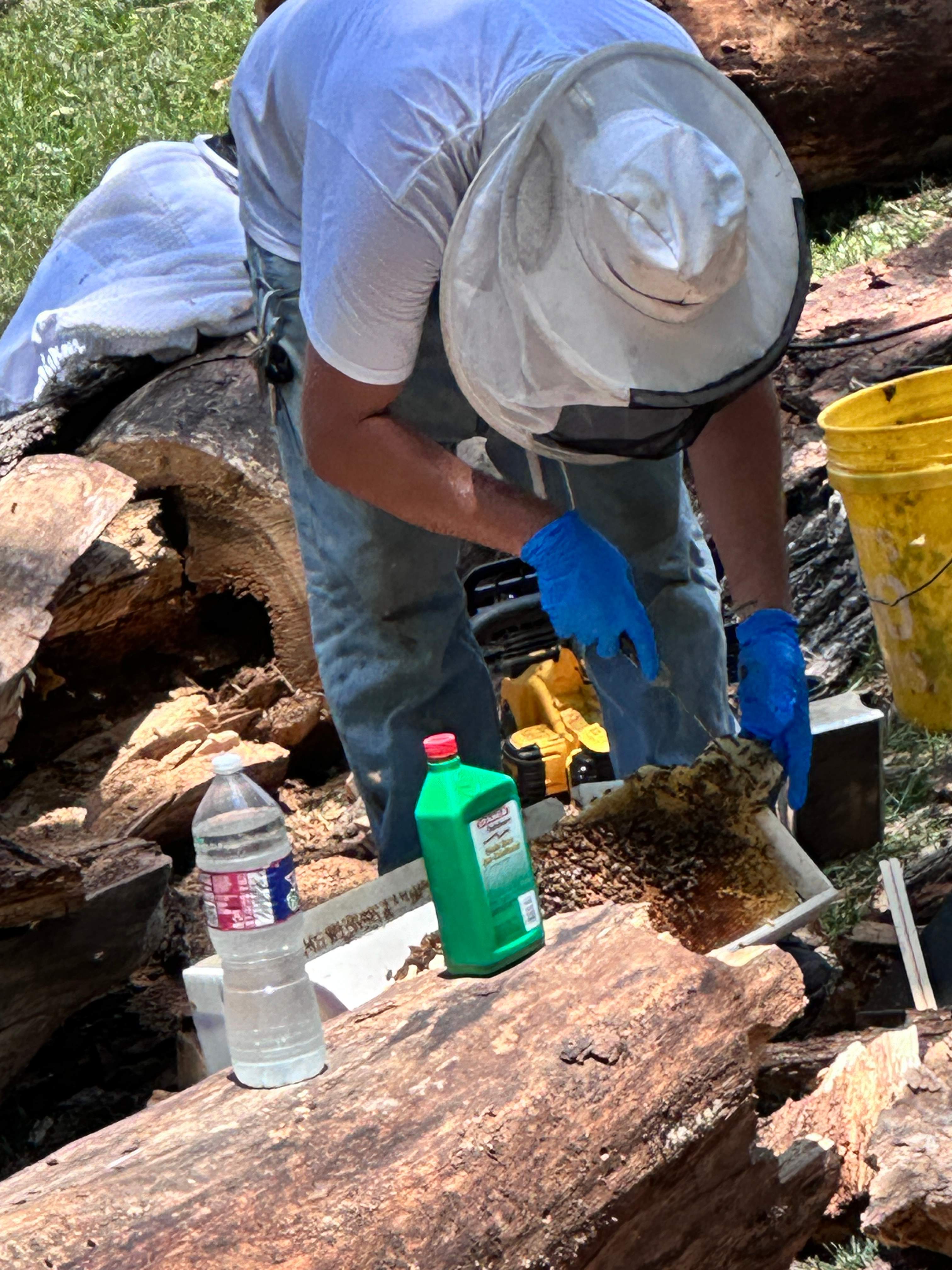 Two More Trees, One More Yard by Rockwall Honey Bee Company