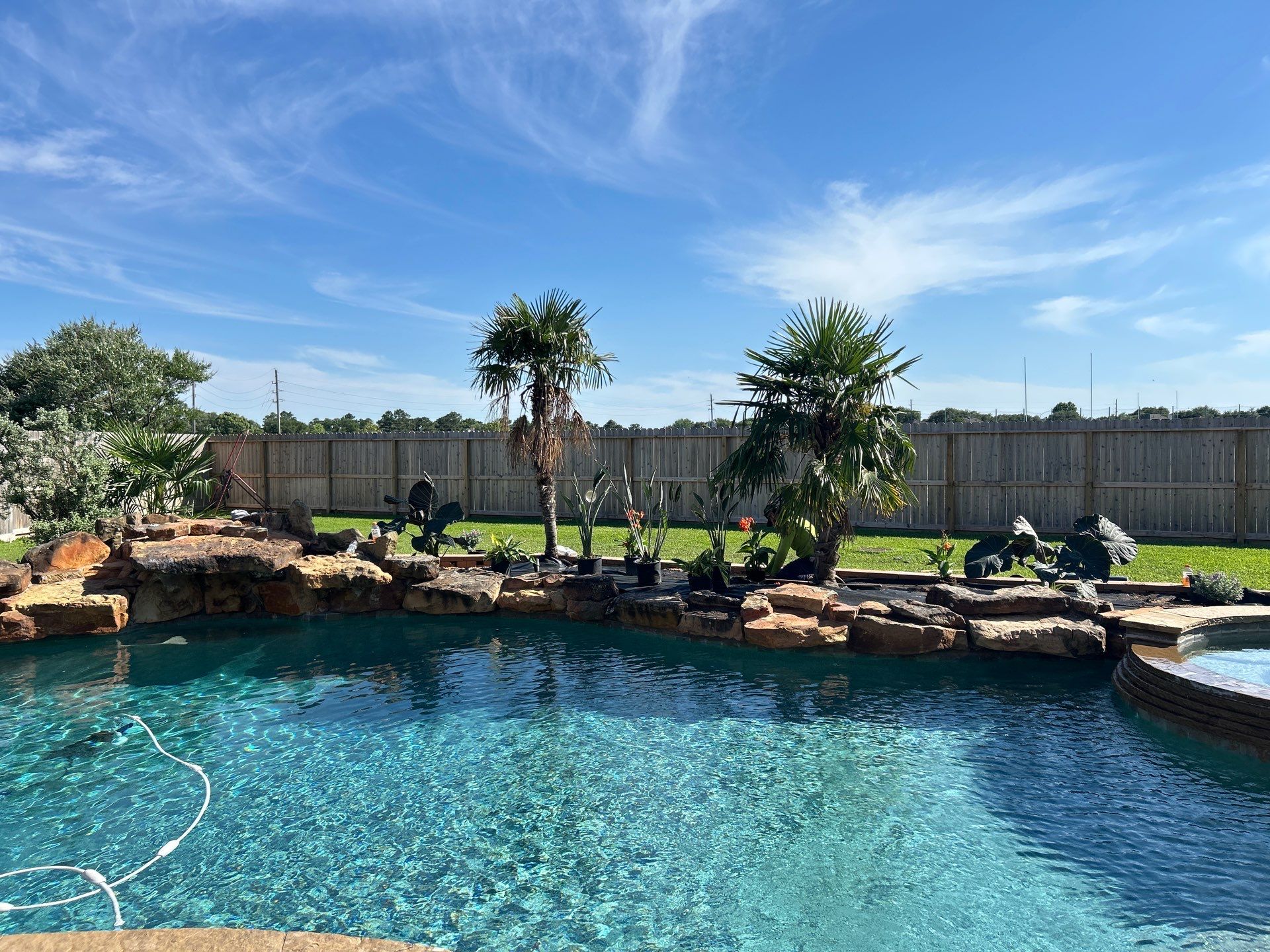 🌿 Larry Caudillo’s Poolside Landscape Revamp by Texas Urban Elements