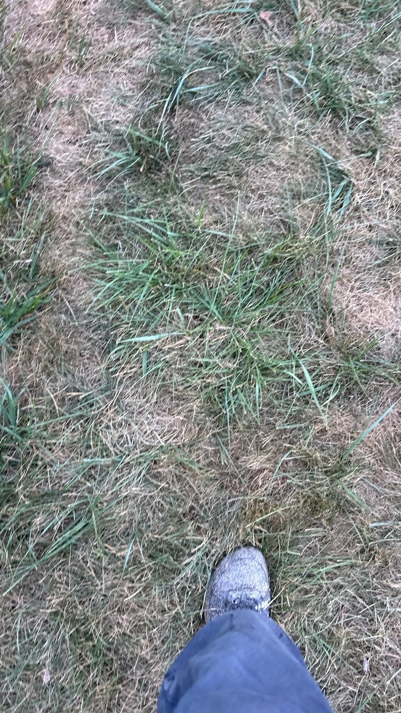 Driveway + Garage + Walkway Project in Meridian by Floors in a Day, Inc