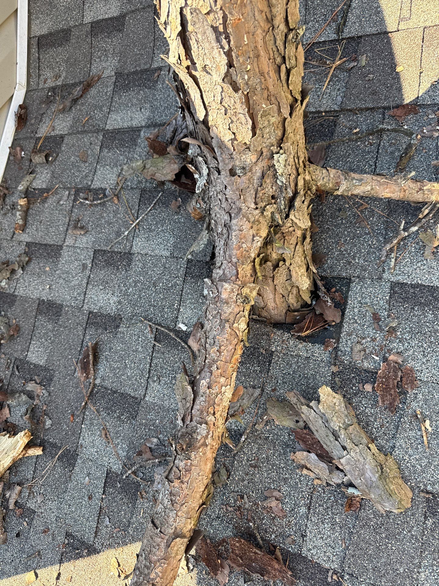 Emergency Roof Tarping โ๏ธ๐ by Georgia Roof Advisors
