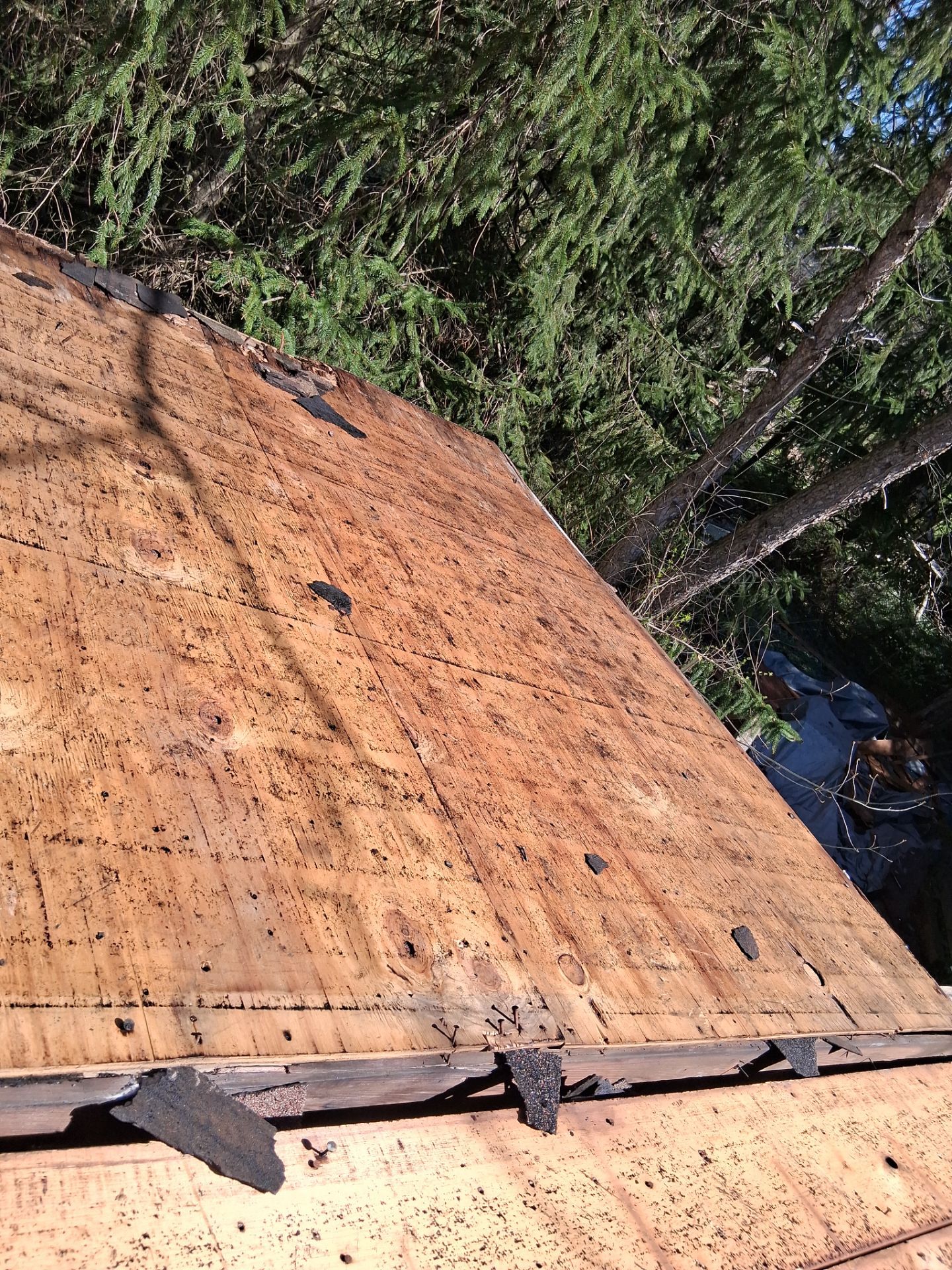 Roof and Gutter Replacement by Homestyle in North Royalton by Homestyle Home Improvements (HHI)