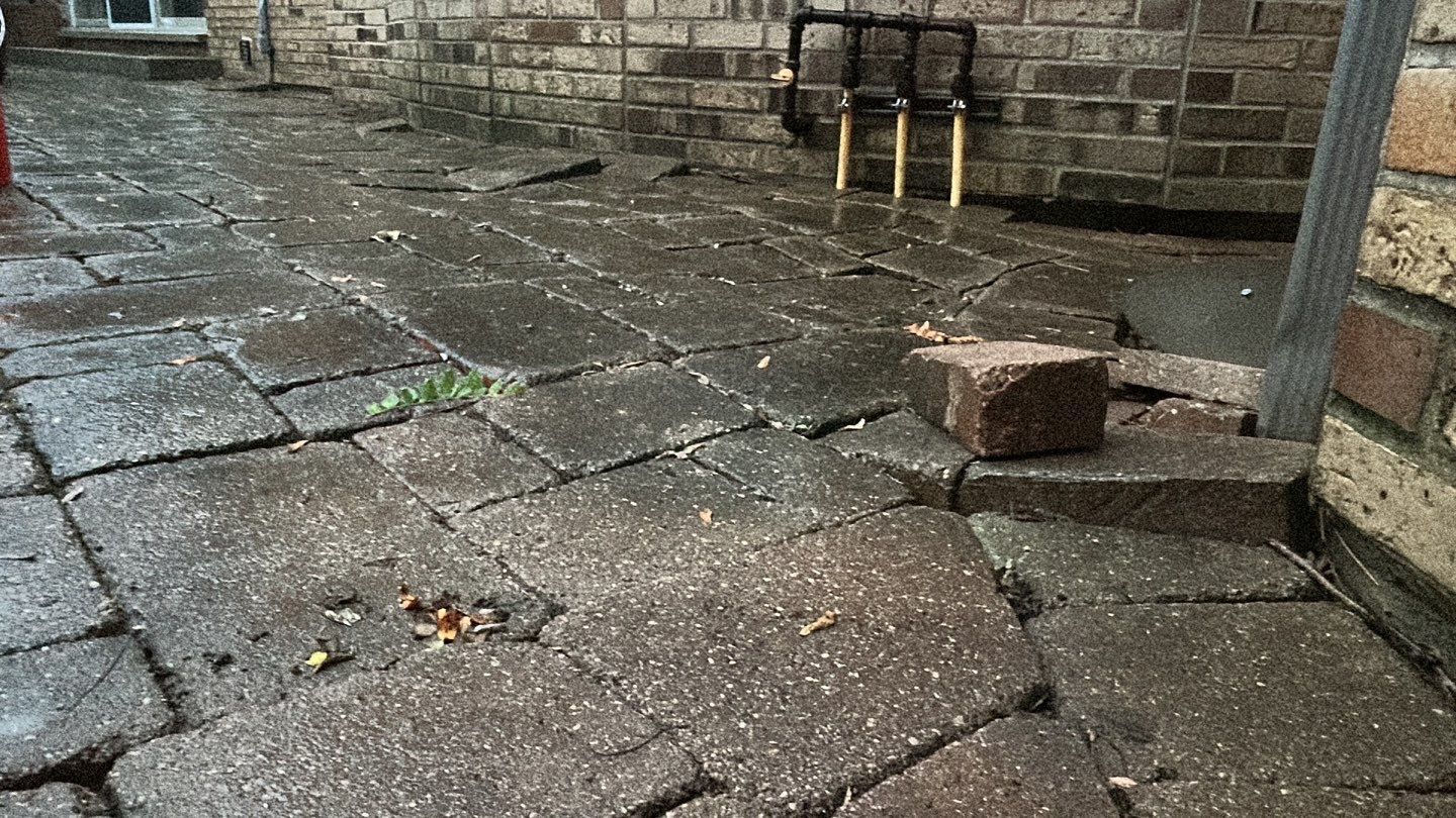 Brick paver clean, sand and seal.  using Algaecide, soft wash soap by Northern Power Washing LLC.