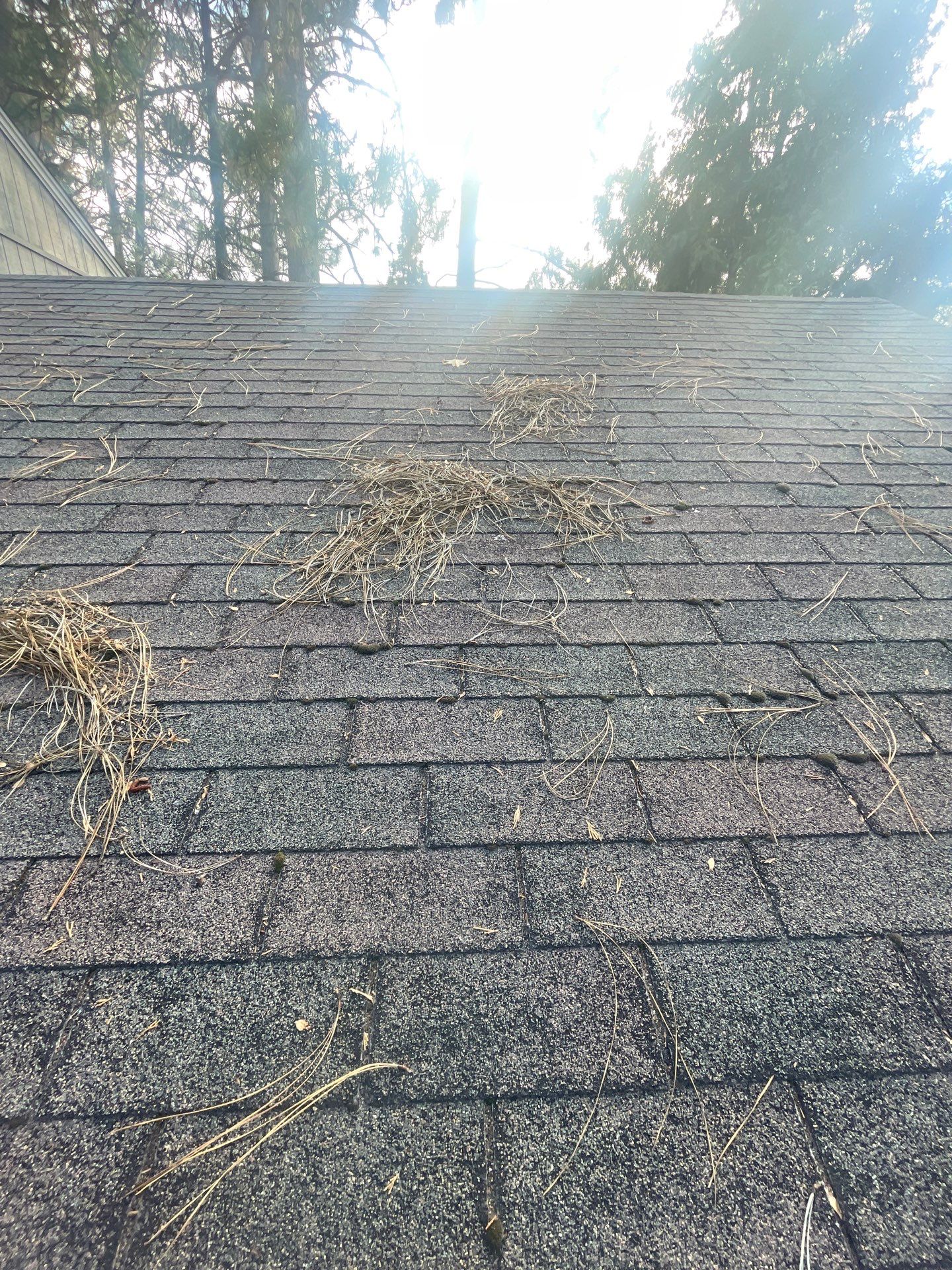 Roof Rejuvenation using Roof Maxx Treatment by Roof Maxx of Folsom