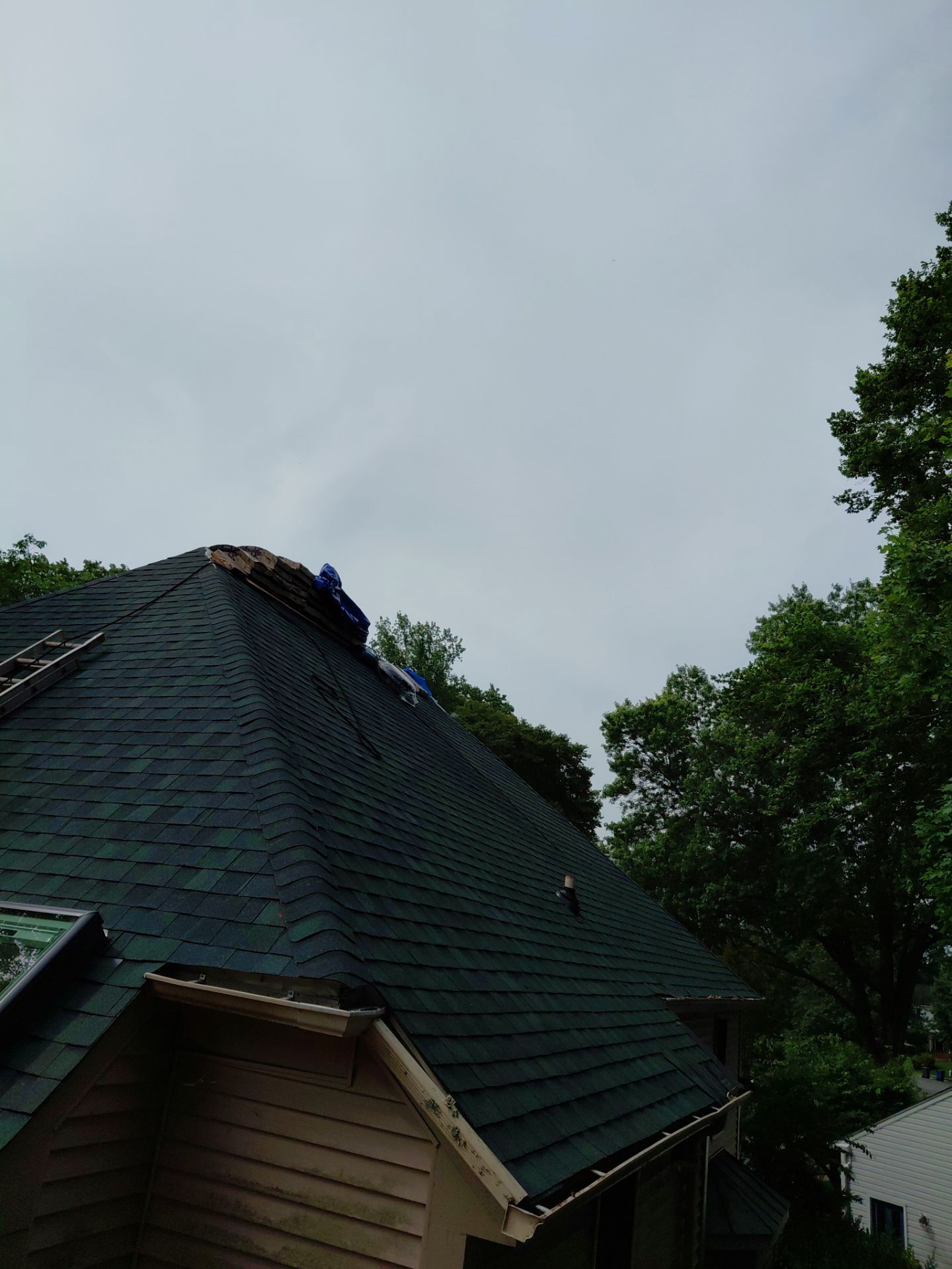 Springfield: Roof Replacement with CertainTeed Landmark Pro in Max Def Evergreen by RM Banning, Inc.