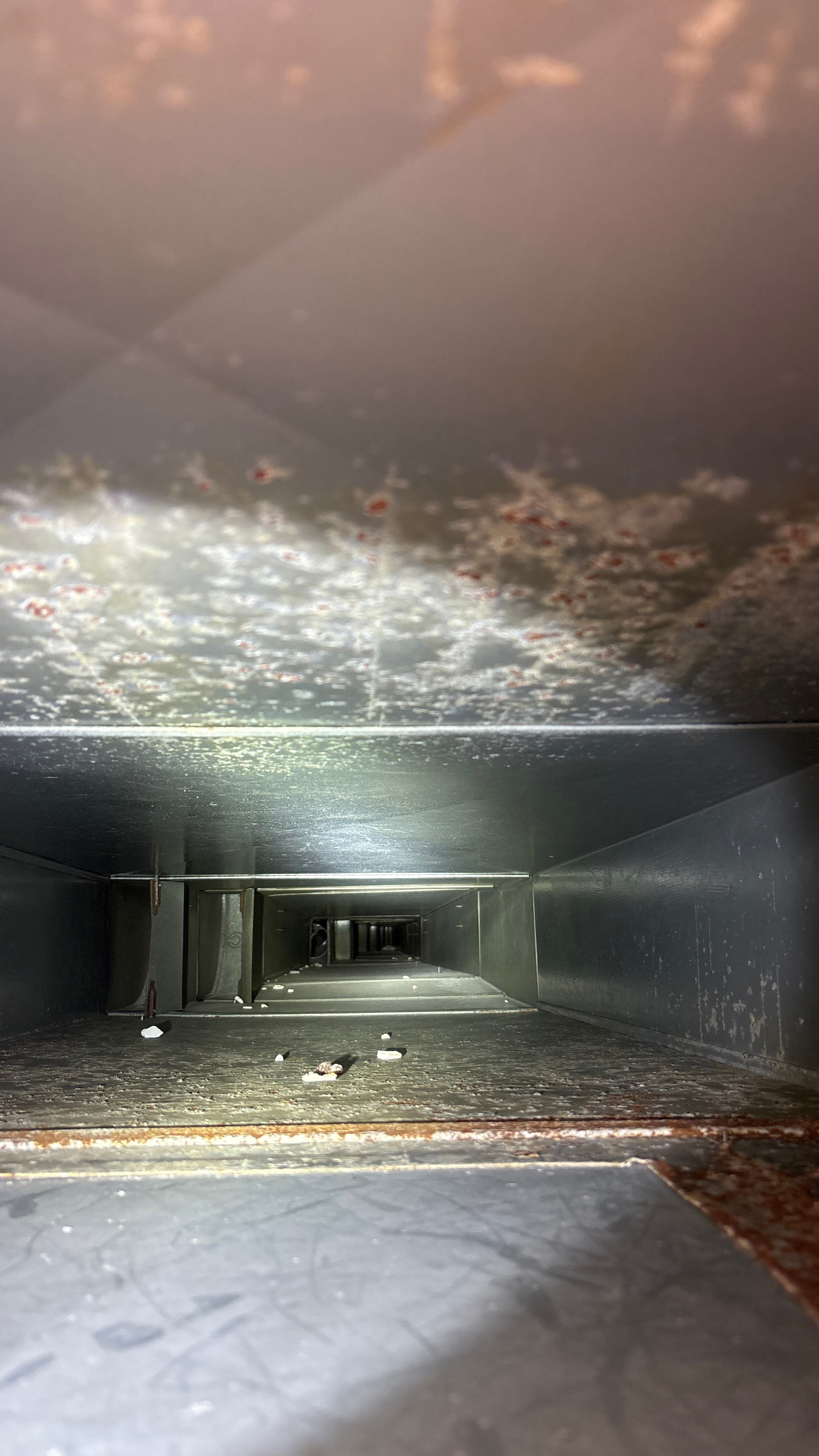 Residential Air Duct Cleaning Service in Fox Chapel by Superior Air Duct Cleaning