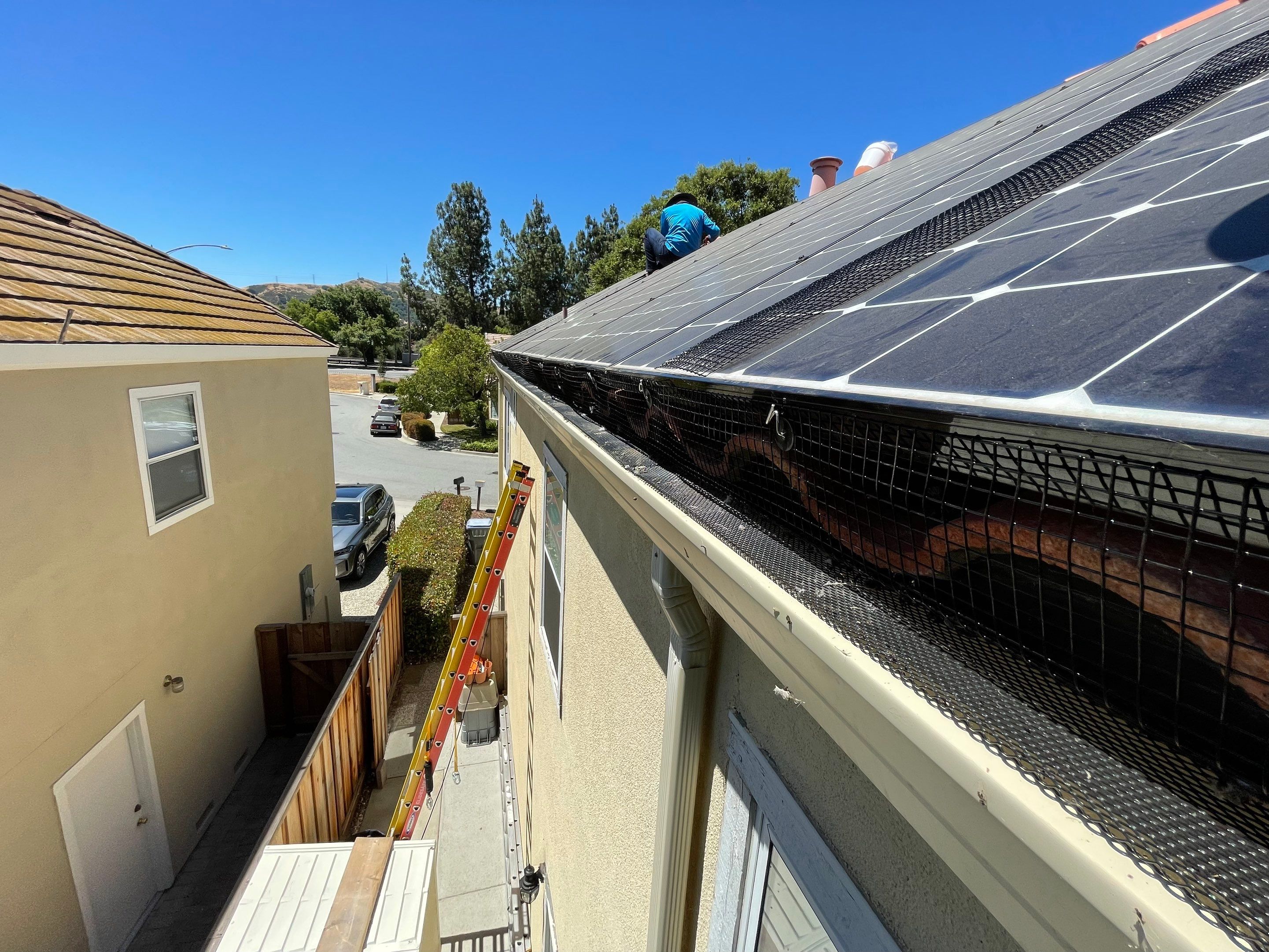 Solar Panel Bird Proofing using Critter Guard Mesh by All One Solar Shine