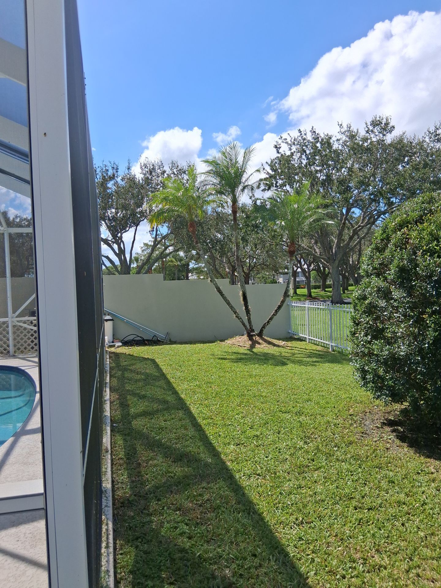 🌱 Evergreen Residential Cleanup — Palm City by Alpha Zeta Enterprises Inc