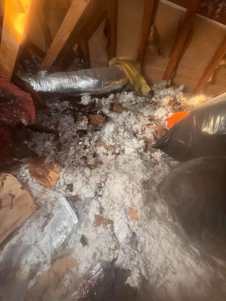 Project in Newport Beach by Advanced Attic Solutions