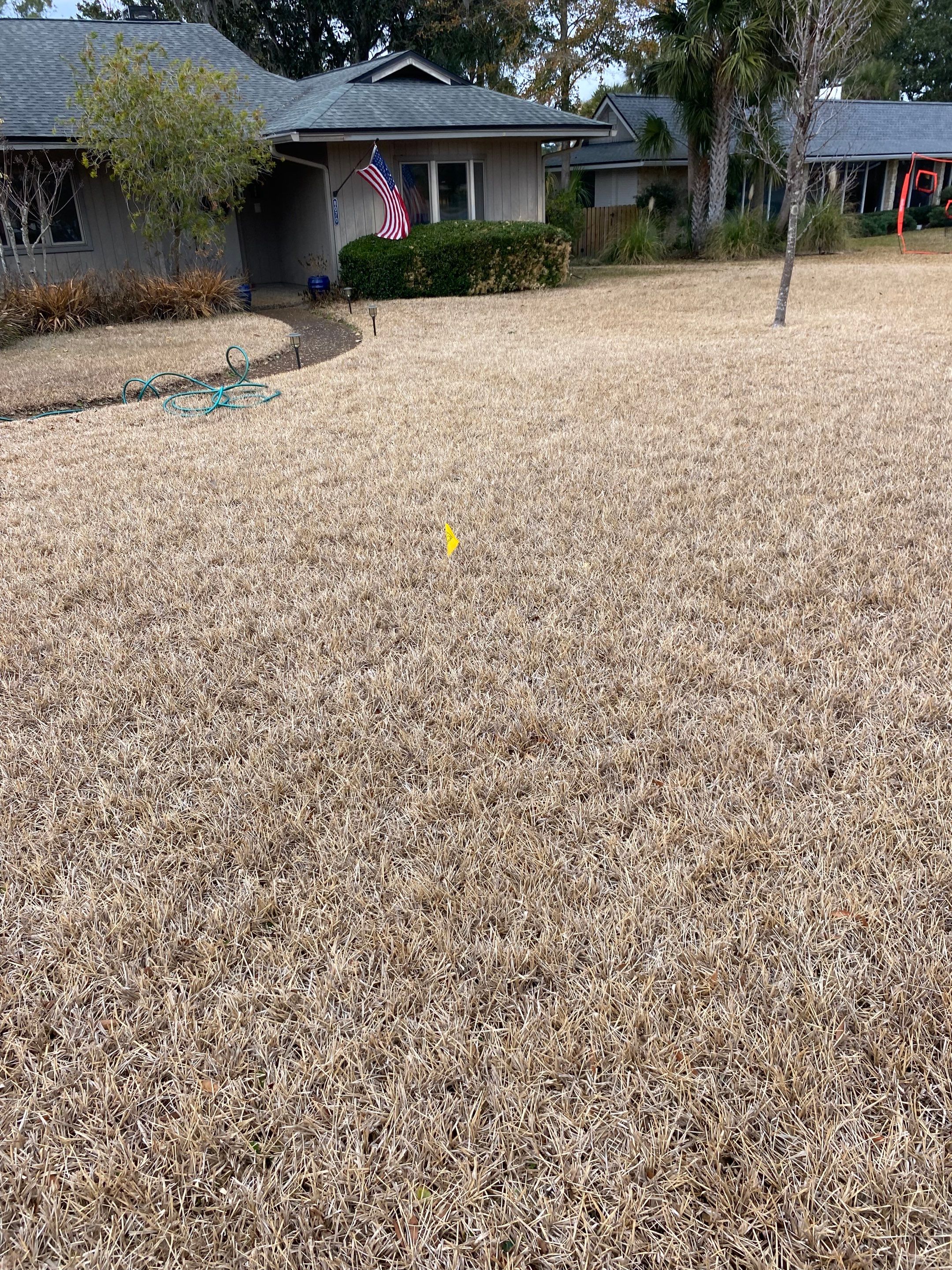 Deerwood Resident | Tree Install by ProGreen Services