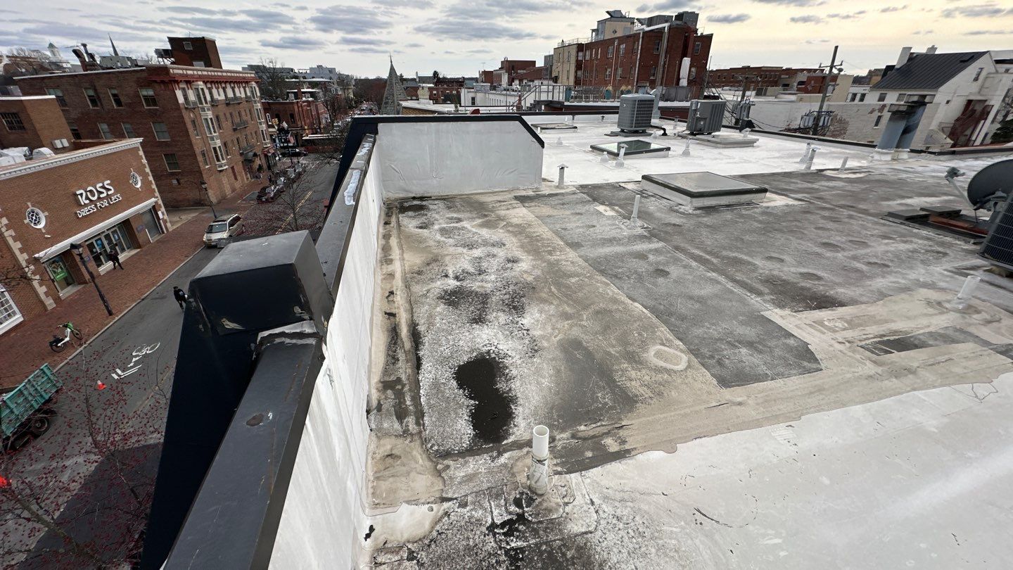 Alexandria: Carlisle Syntec TPO Flat Roof Installation by RM Banning, Inc.