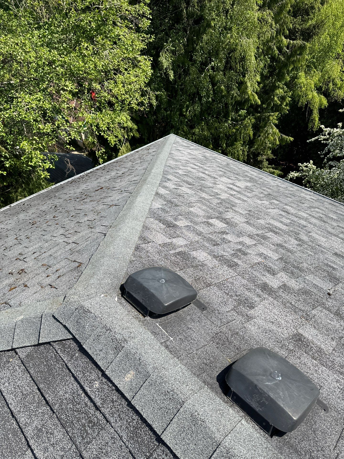 Project in Seattle by Peaks and Valleys Construction