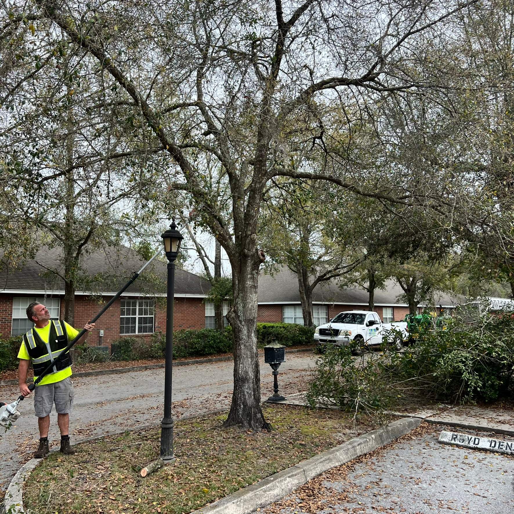 Tree Work | Great Expressions Dental by ProGreen Services