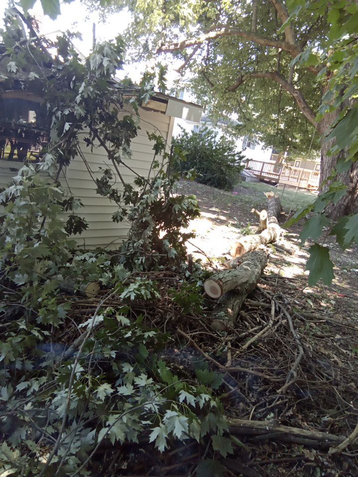 Storm Damaged Tree Removal  using Tree Removal by Mike Jones & Sons Tree Service LLC 