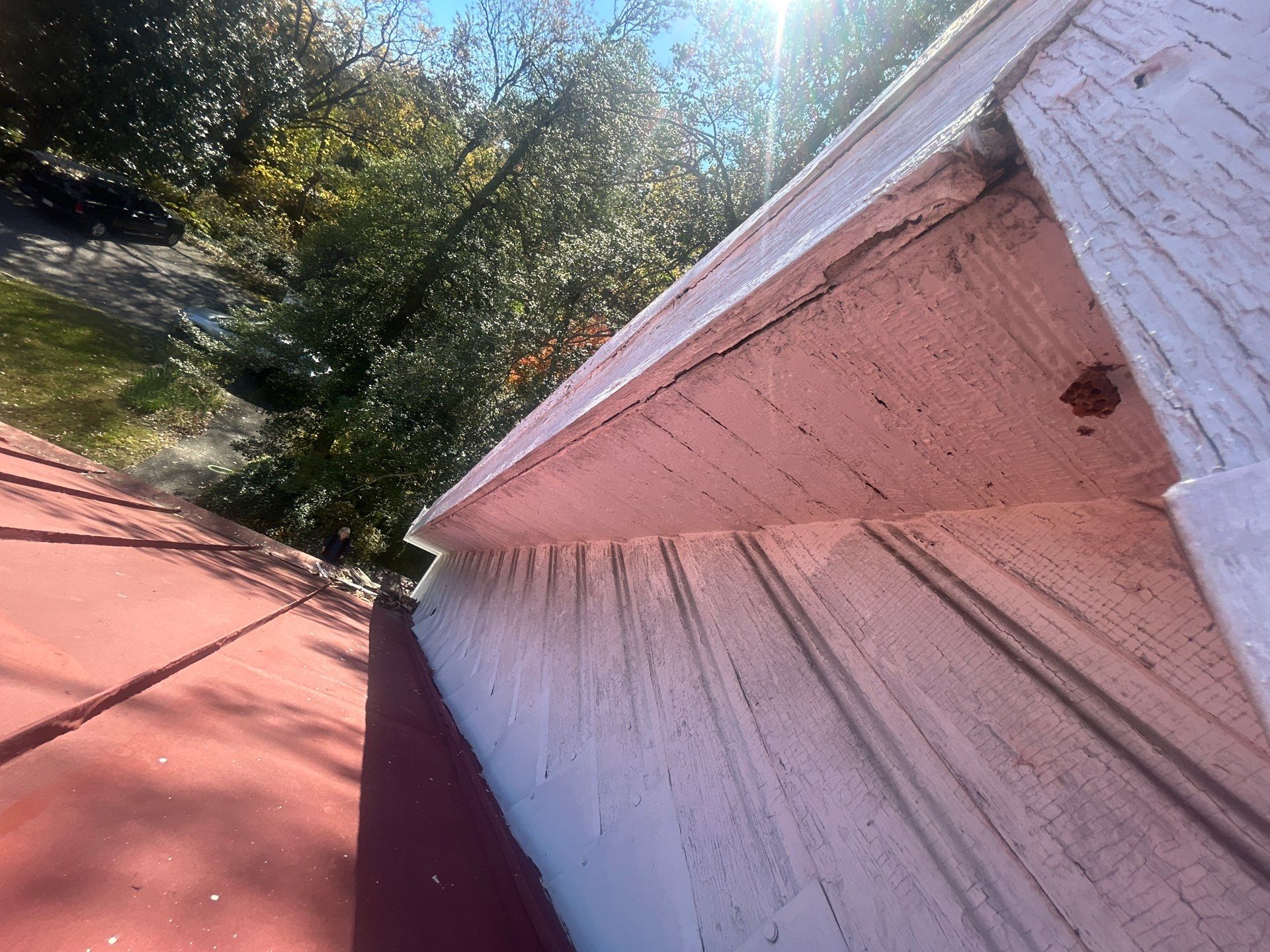 Alexandra: Residential Metal Roofing  by RM Banning, Inc.