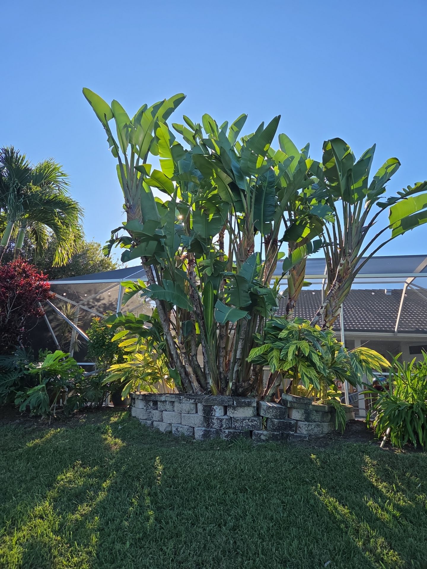 🌴 Landscape Removal and Install in Palm City by Alpha Zeta Enterprises Inc