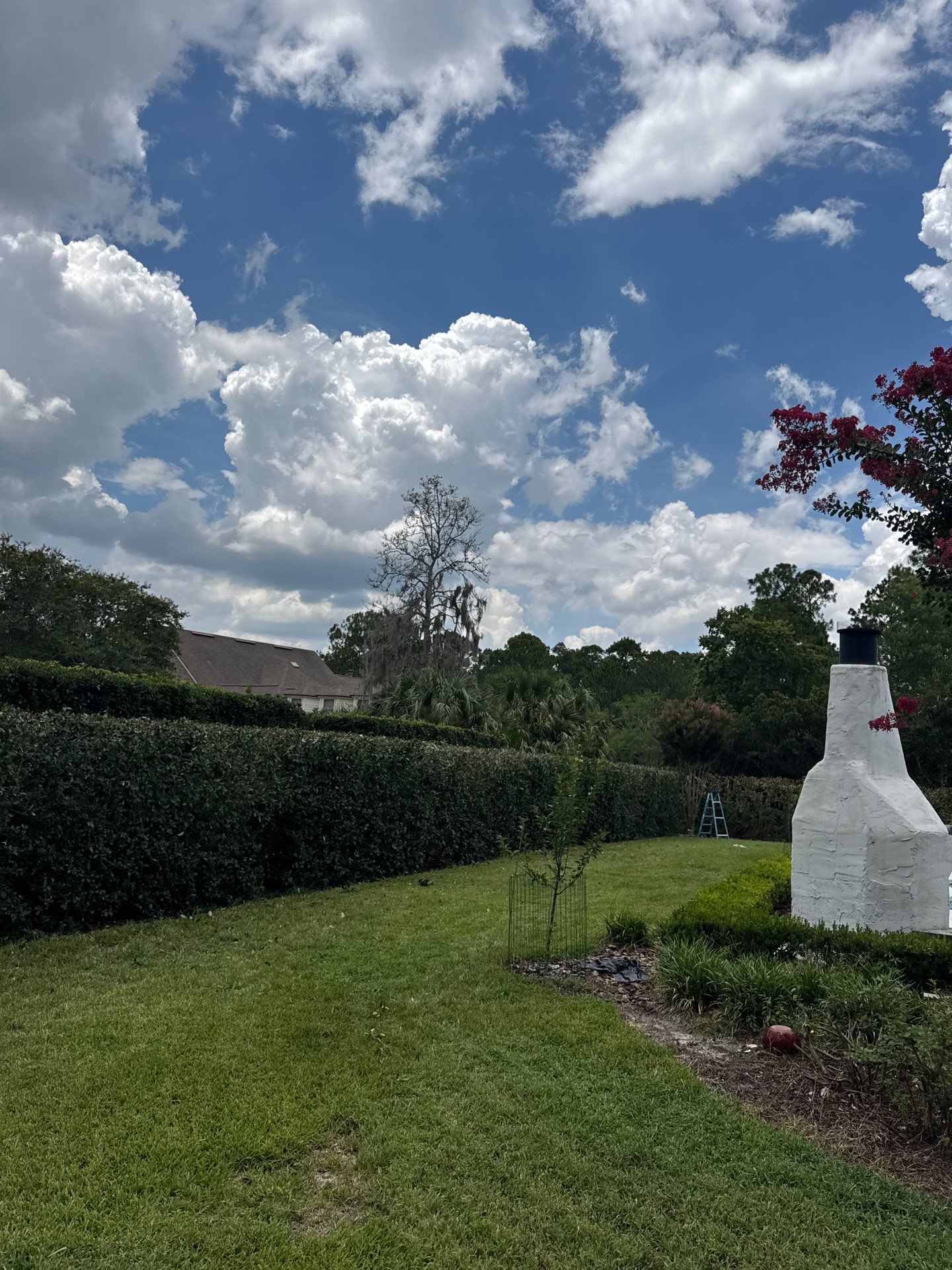 Deerwood Resident | Shrub Trimming by ProGreen Services