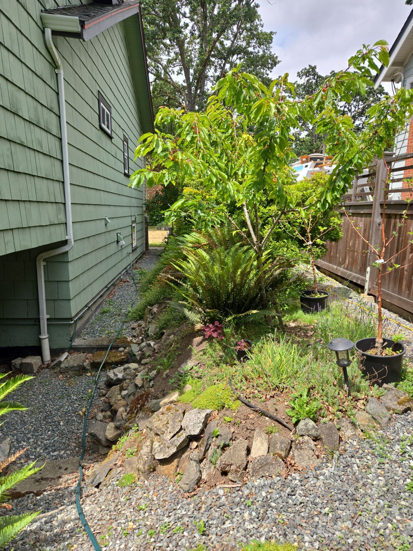 Complete Landscape Transformation - Esquimalt, BC by Habanero Garden and Exterior Care