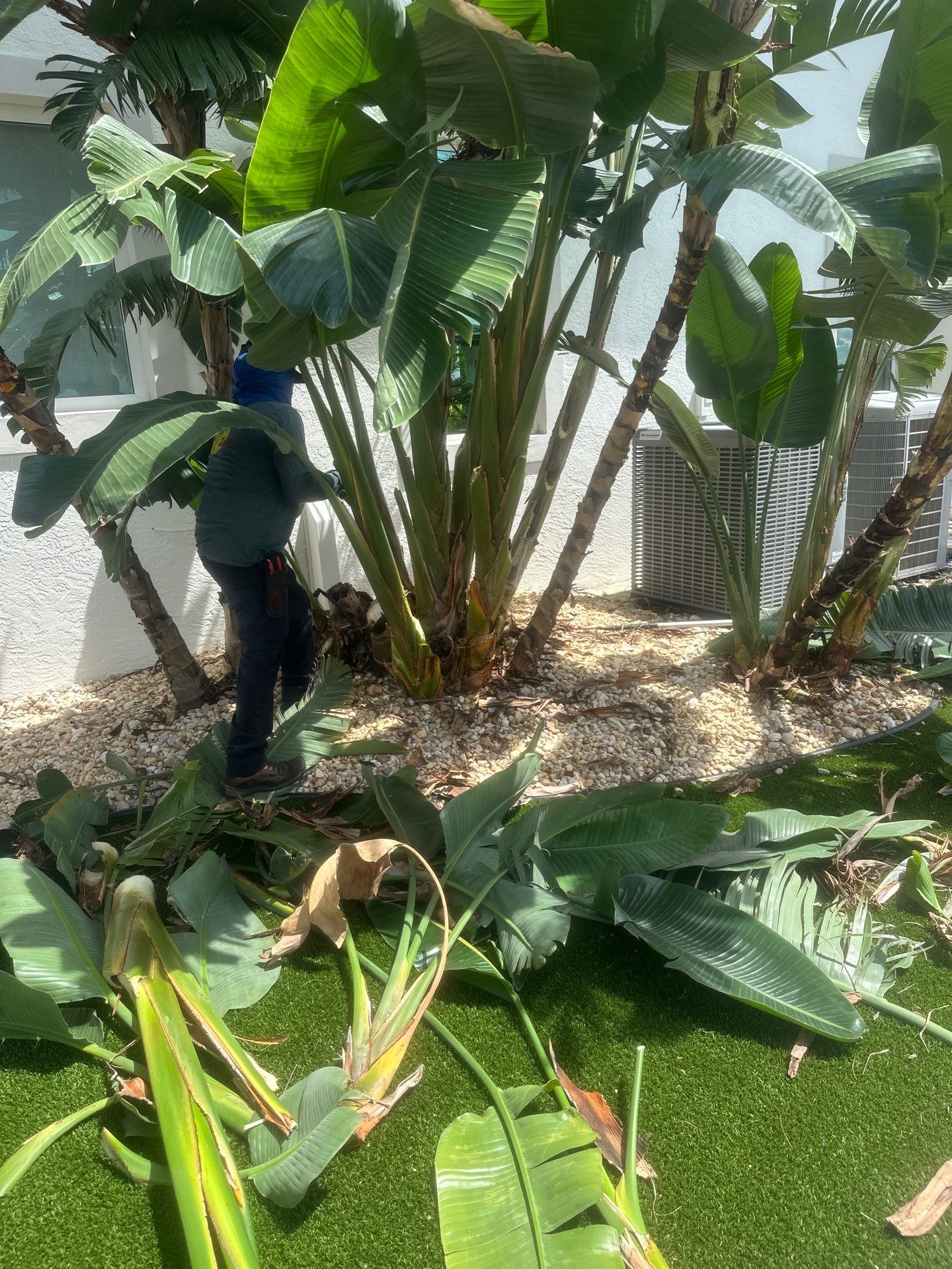 Sewall's Point Phase 1 - The Art of the Cutback by Alpha Zeta Enterprises Inc