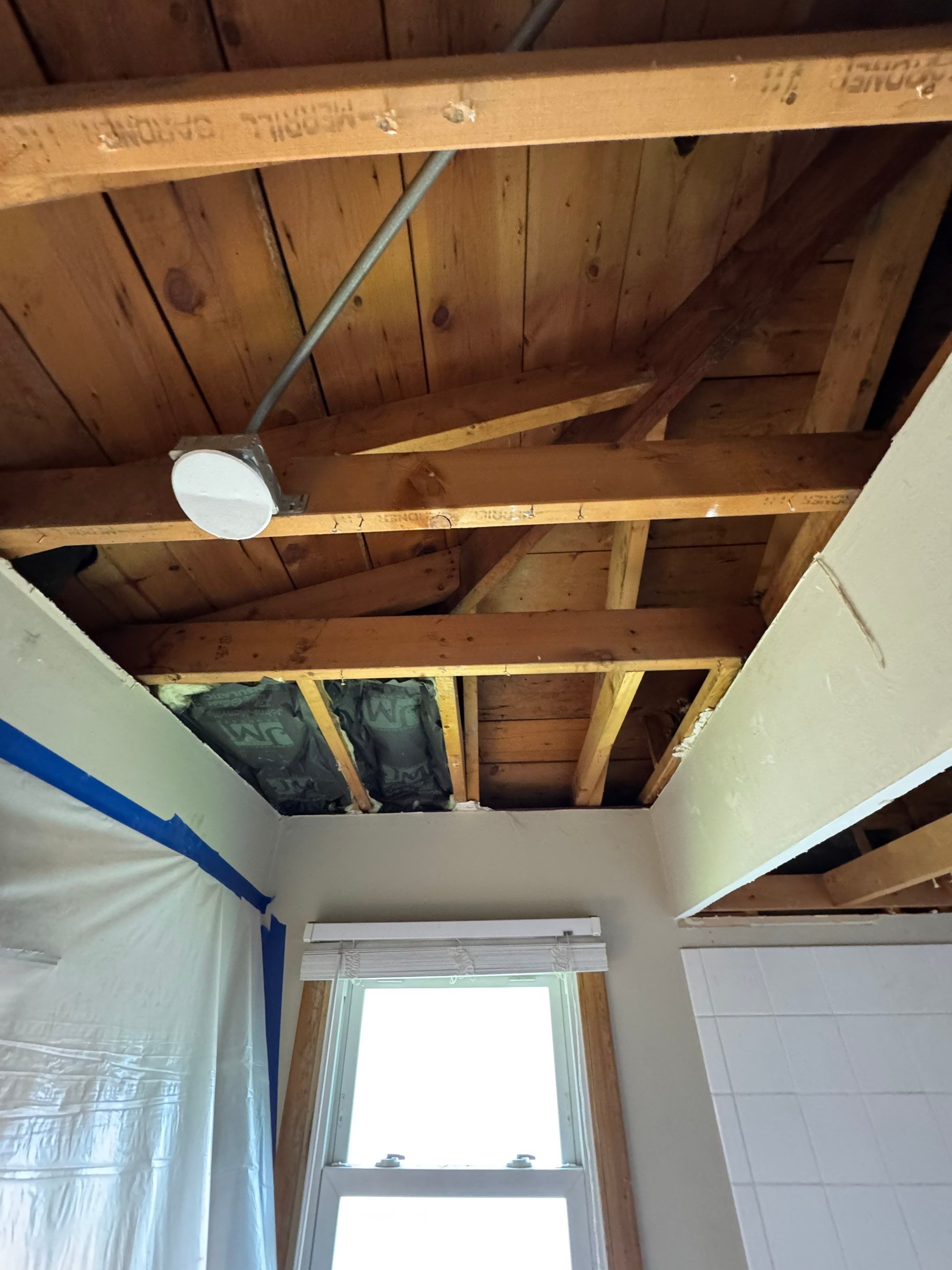 Bathroom Mold by Chicagoland Water Medics