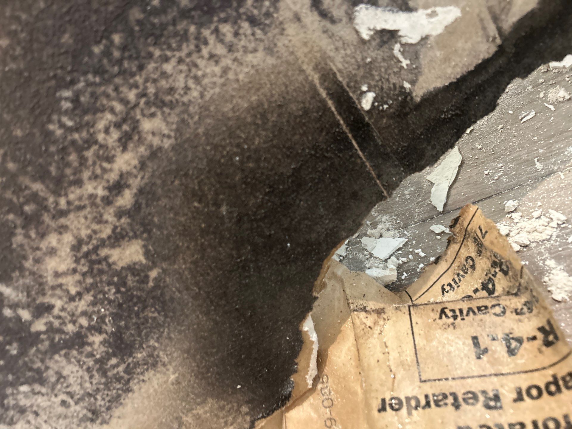 Palmetto Mold Removal & Repair by Ampm Restoration Services 