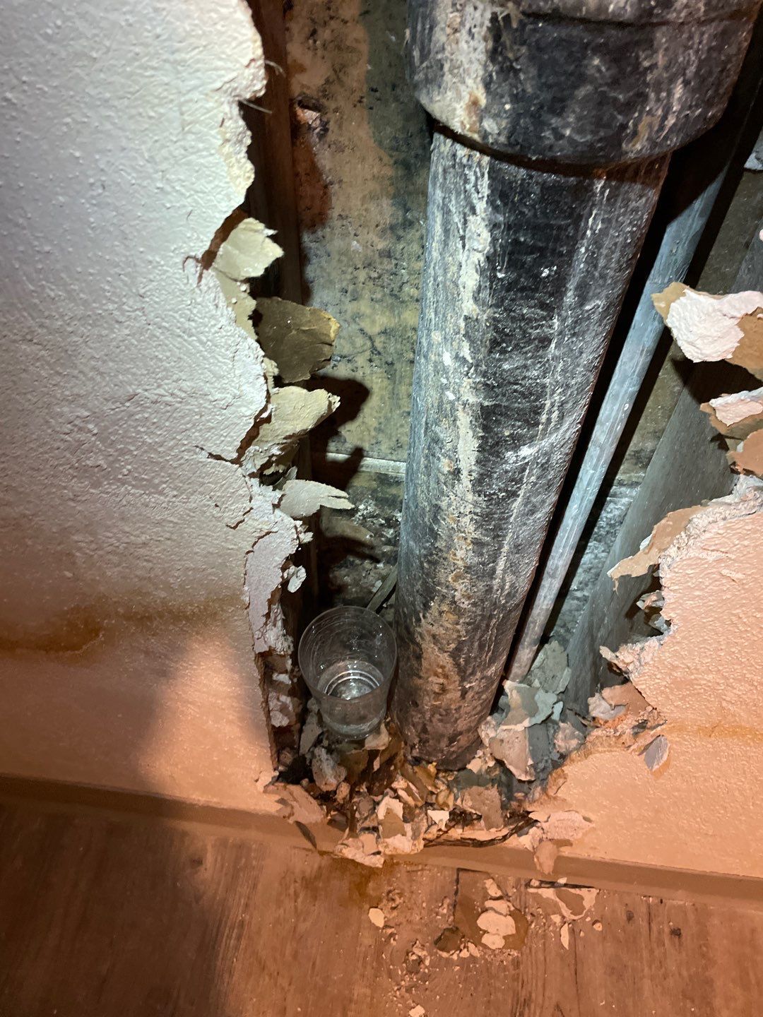Mold Remediation by Accountable Home Services