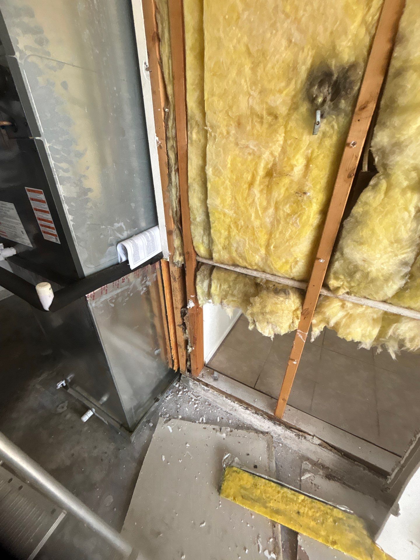 Mold Inspection & Removal In Palmetto, FL by Ampm Restoration Services