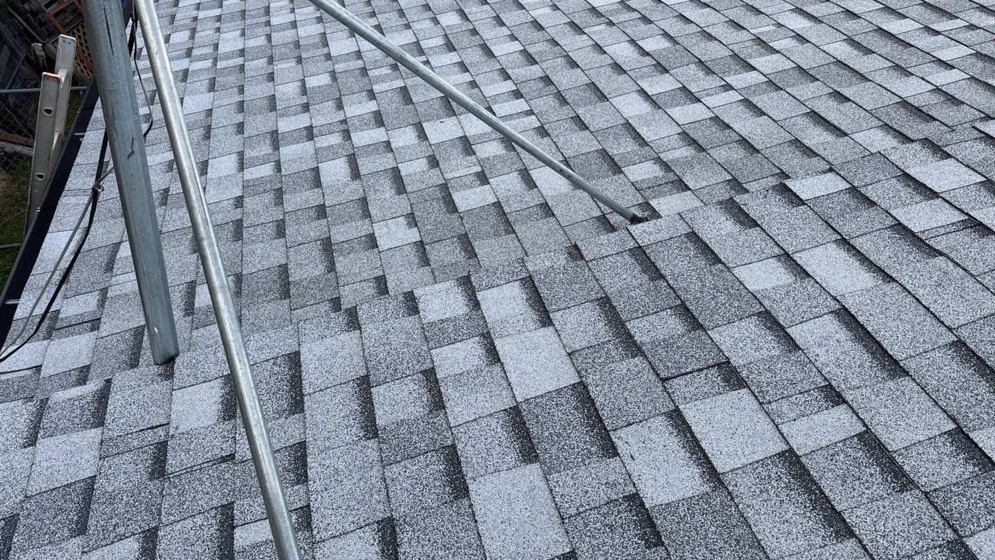 Project in Calfax  by NuLead Construction Inc