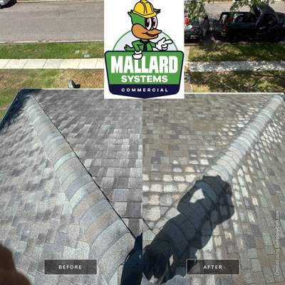 Shingle Roof Cleaning