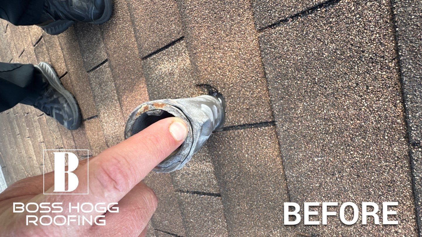 BARB C. by Boss Hogg Roofing