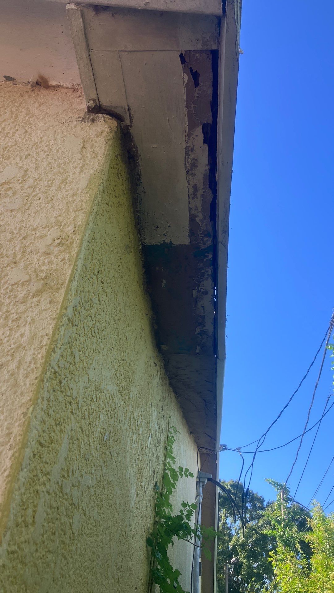 Project in Pinellas Park 33781 by Mitchell Roofing Company LLC
