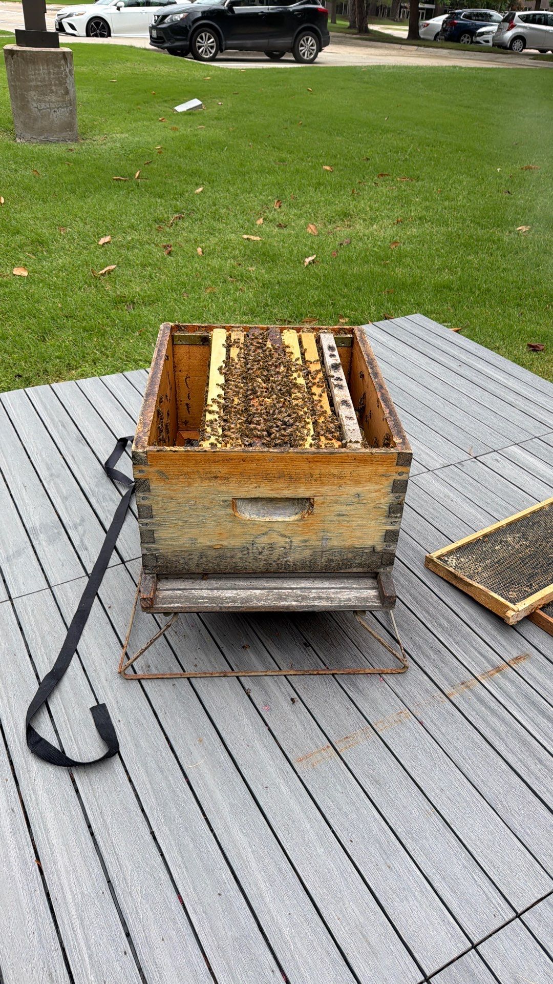 Platform Precious Population by Rockwall Honey Bee Company