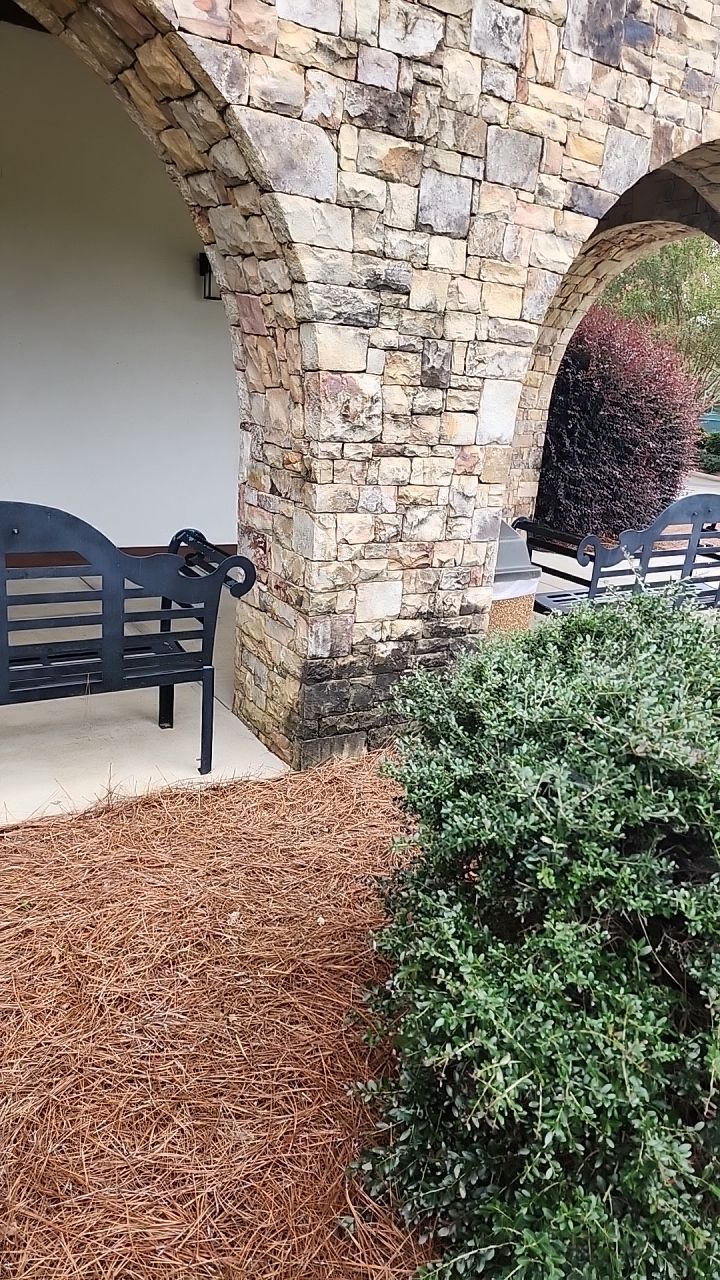 concrete Clean using cleaner by Power Wash Masters LLC