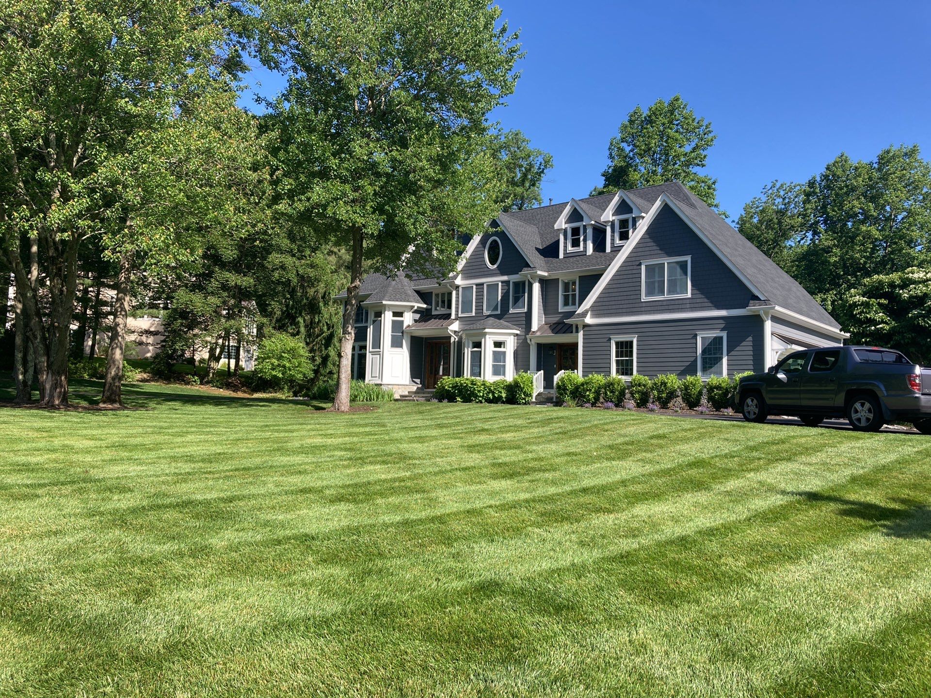 Comprehensive Lawn Care in Warren by Ants Plants