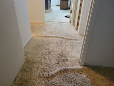Carpet Re-stretching and Cleaning